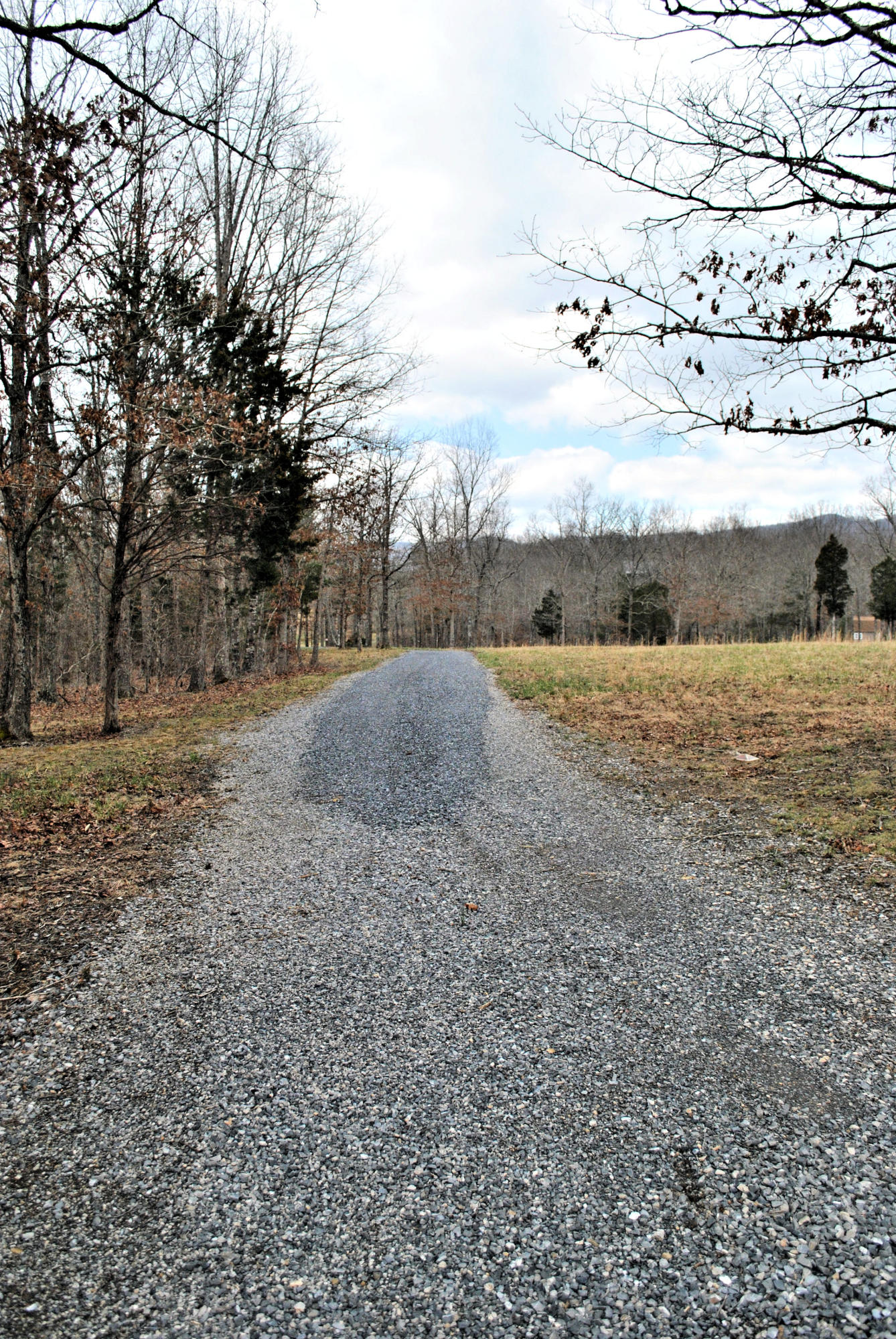 3948 Flatwoods Road Elliston, VA 24087 - Photo 5 of 57 a view of dirt field with large trees