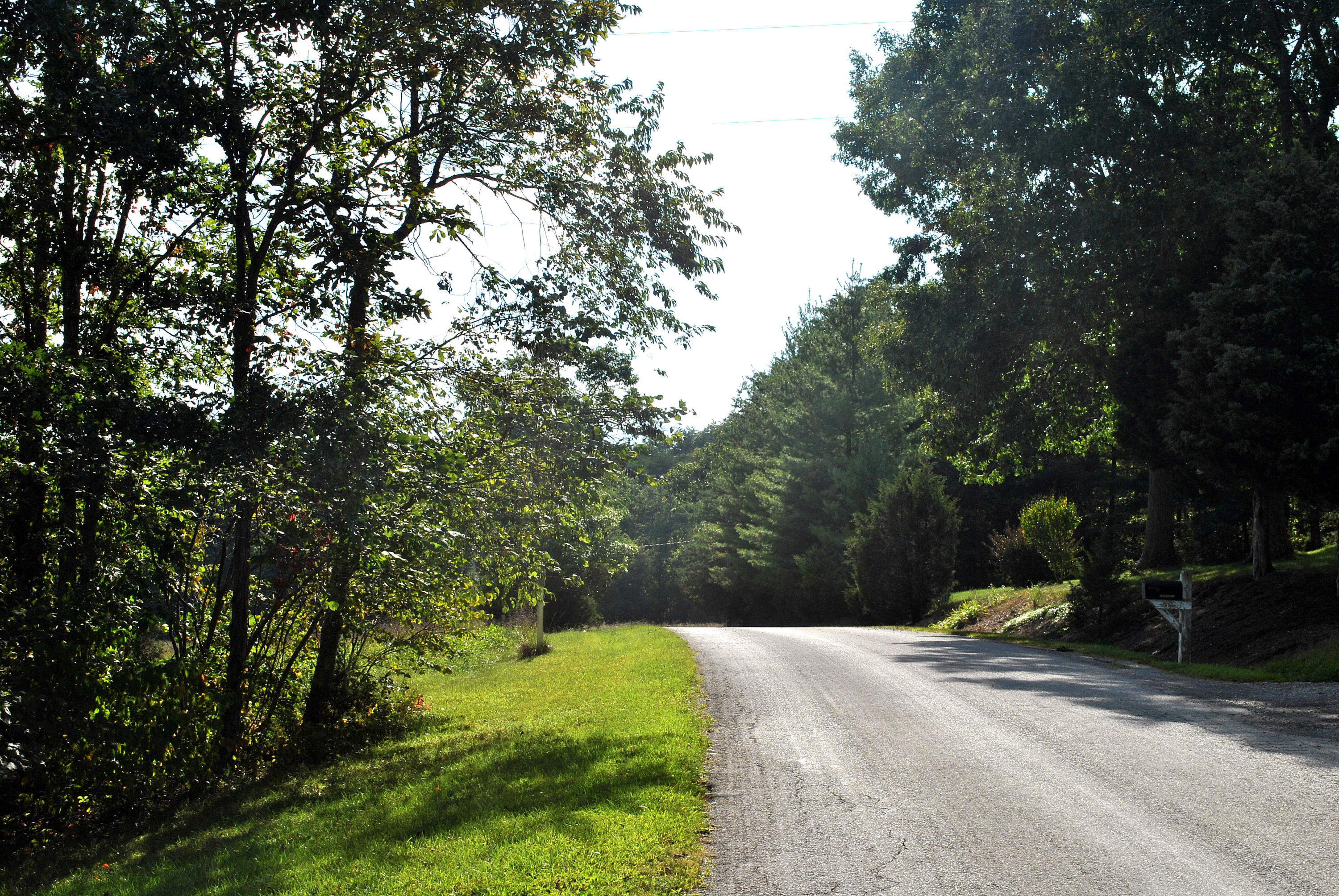 3948 Flatwoods Road Elliston, VA 24087 - Photo 47 of 57 a park view with a sitting space