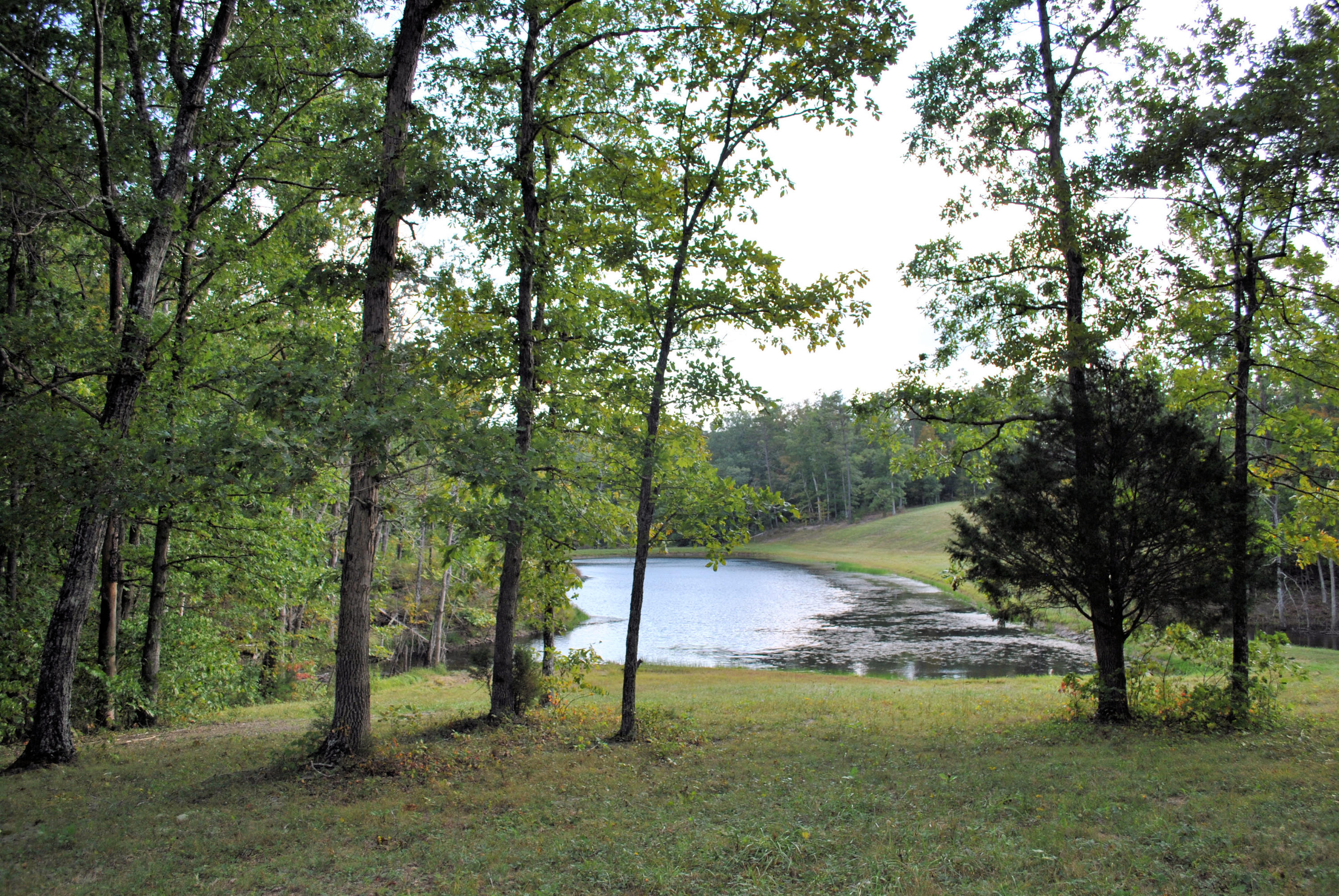 3948 Flatwoods Road Elliston, VA 24087 - Photo 48 of 57 a view of a park