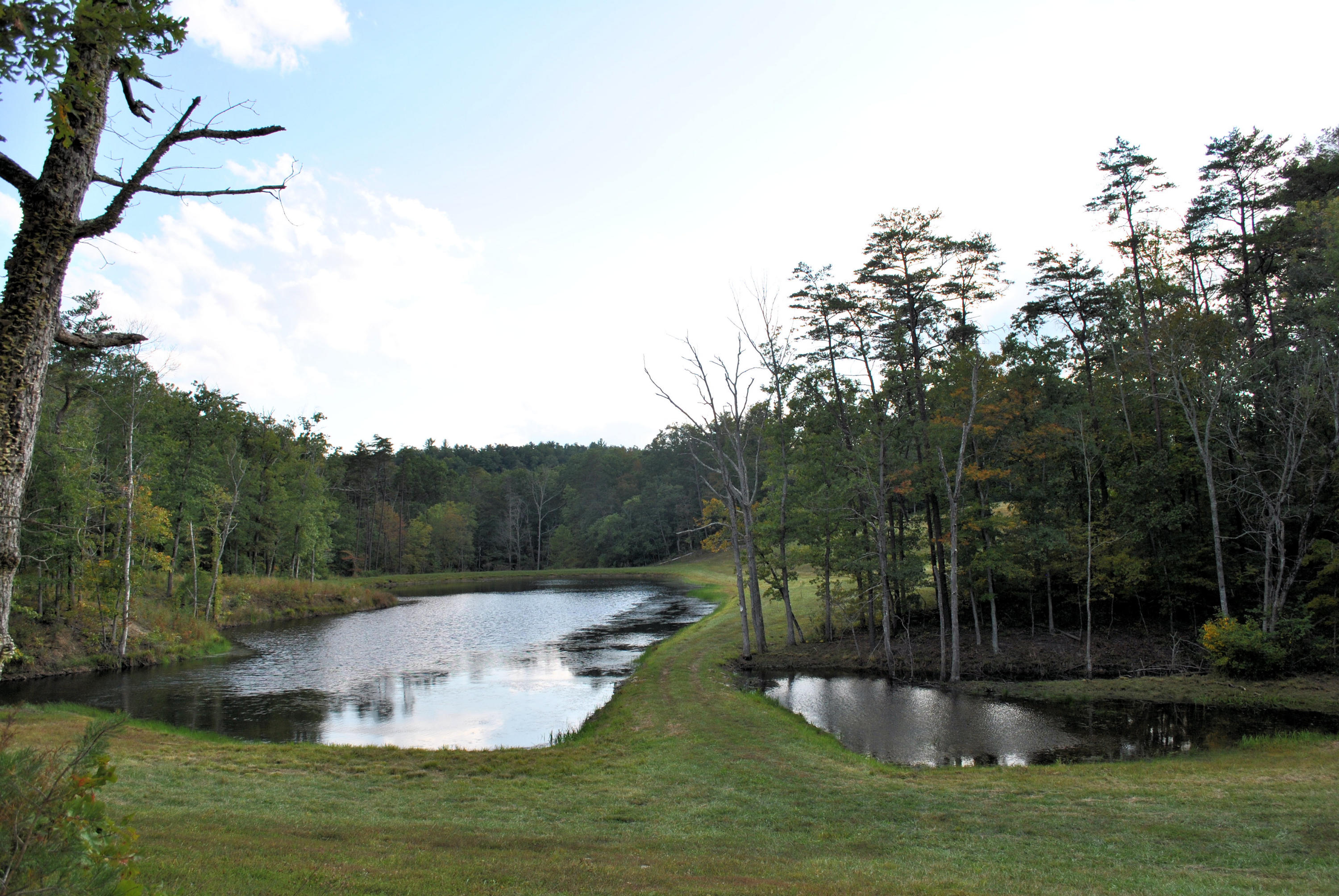 3948 Flatwoods Road Elliston, VA 24087 - Photo 49 of 57 a view of a lake with outdoor space
