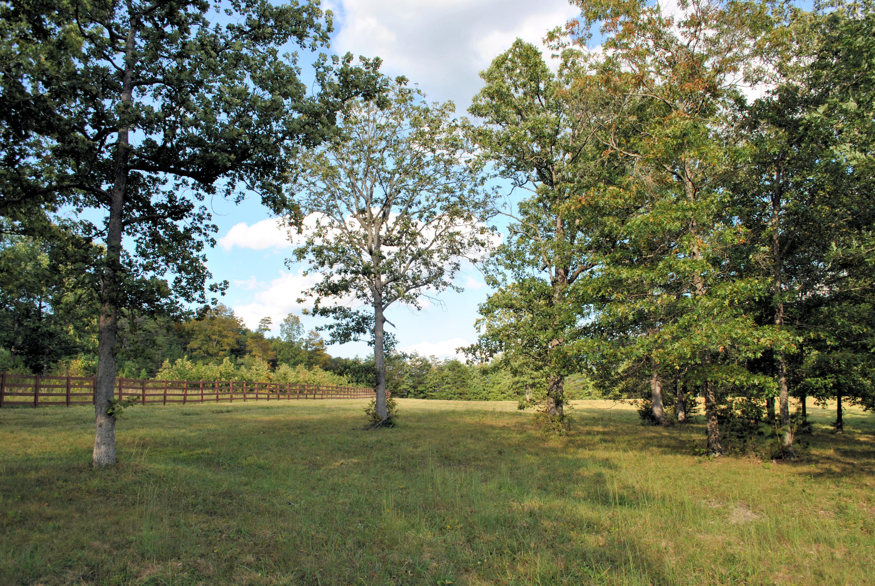 3948 Flatwoods Road Elliston, VA 24087 - Photo 50 of 57 a view of yard with trees