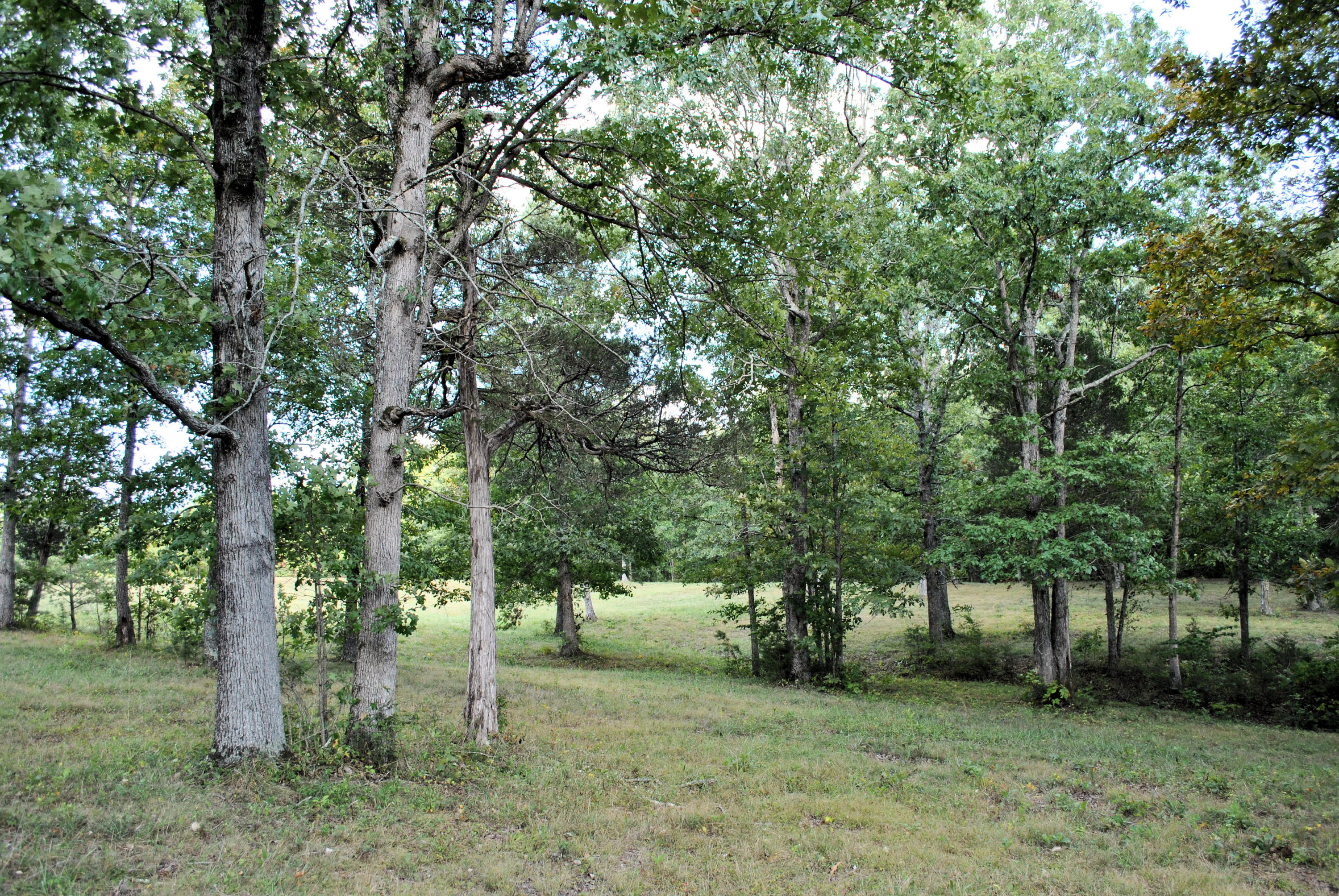 3948 Flatwoods Road Elliston, VA 24087 - Photo 51 of 57 a view of a yard with trees