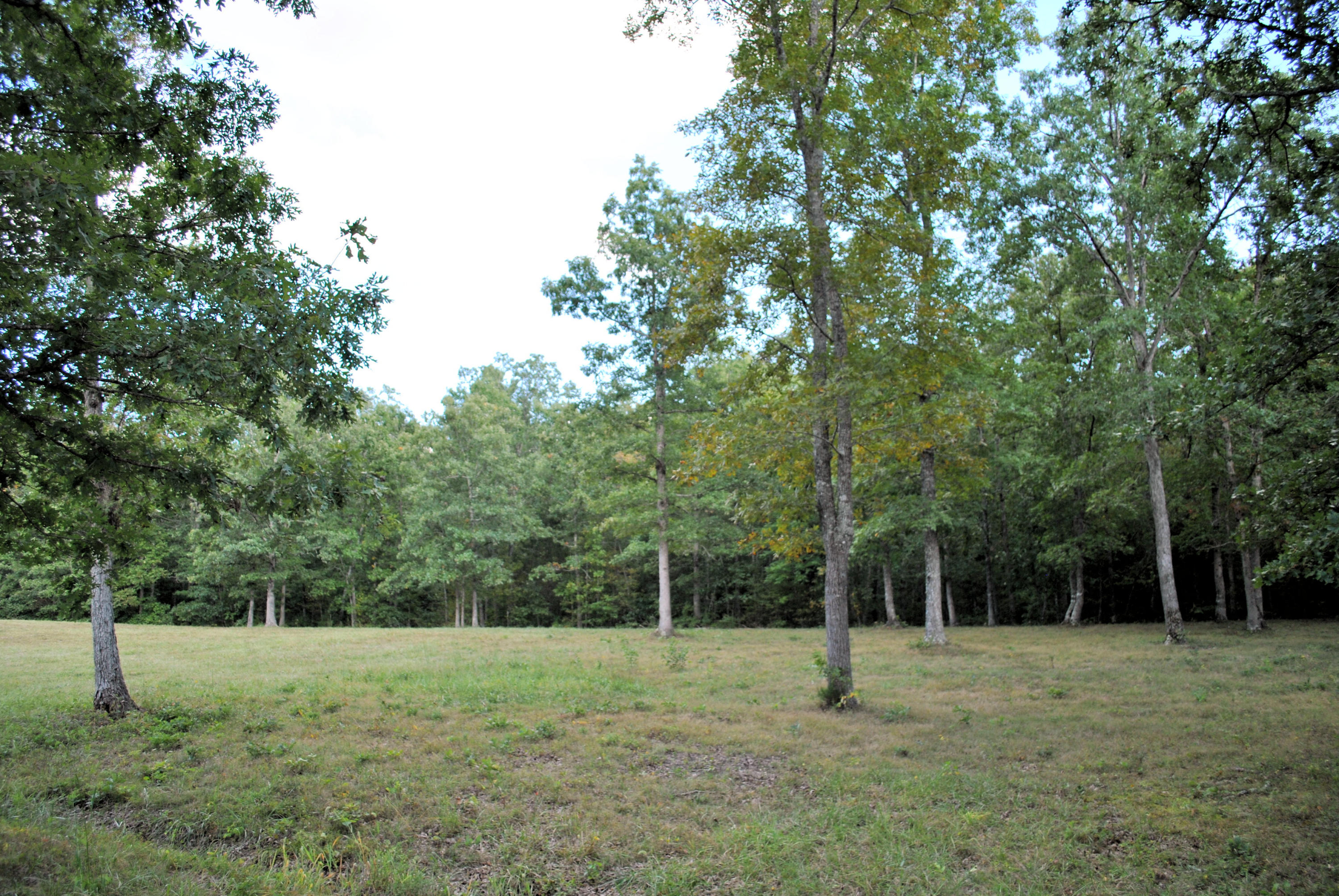 3948 Flatwoods Road Elliston, VA 24087 - Photo 52 of 57 a view of outdoor space with deck and yard