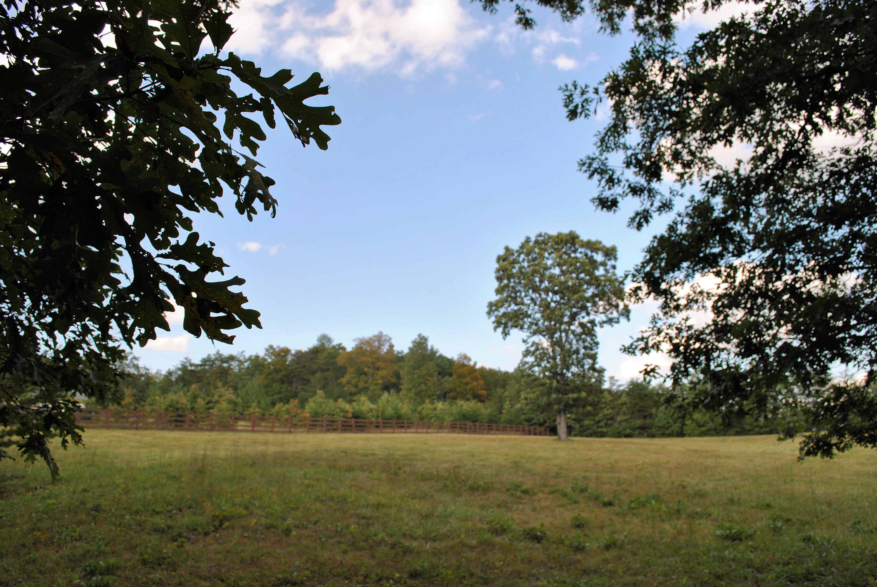 3948 Flatwoods Road Elliston, VA 24087 - Photo 53 of 57 a view of field with tall trees