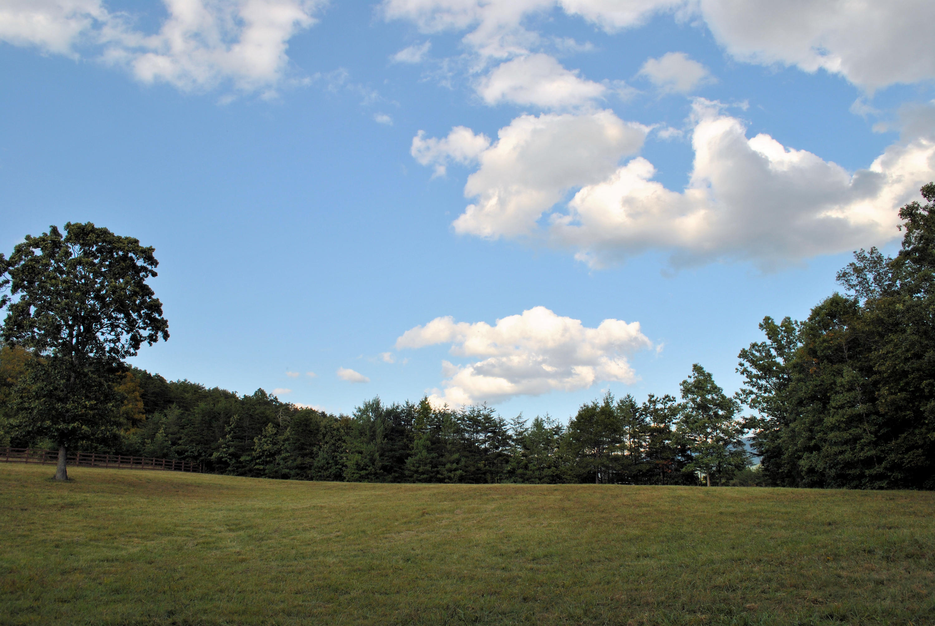 3948 Flatwoods Road Elliston, VA 24087 - Photo 54 of 57 DSC_1011