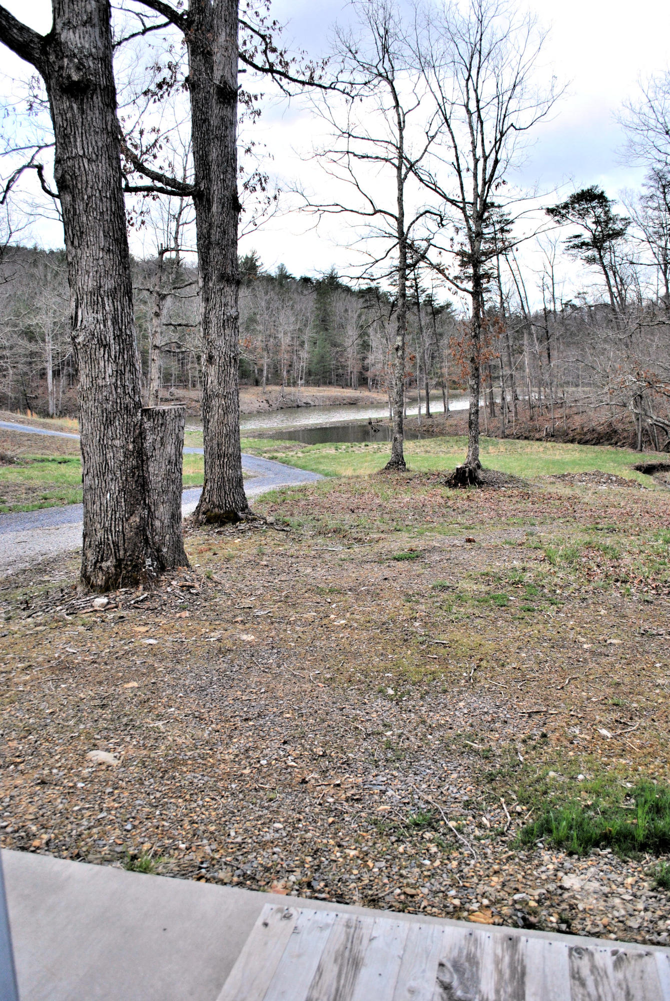 3948 Flatwoods Road Elliston, VA 24087 - Photo 9 of 57 a view of a yard with large trees