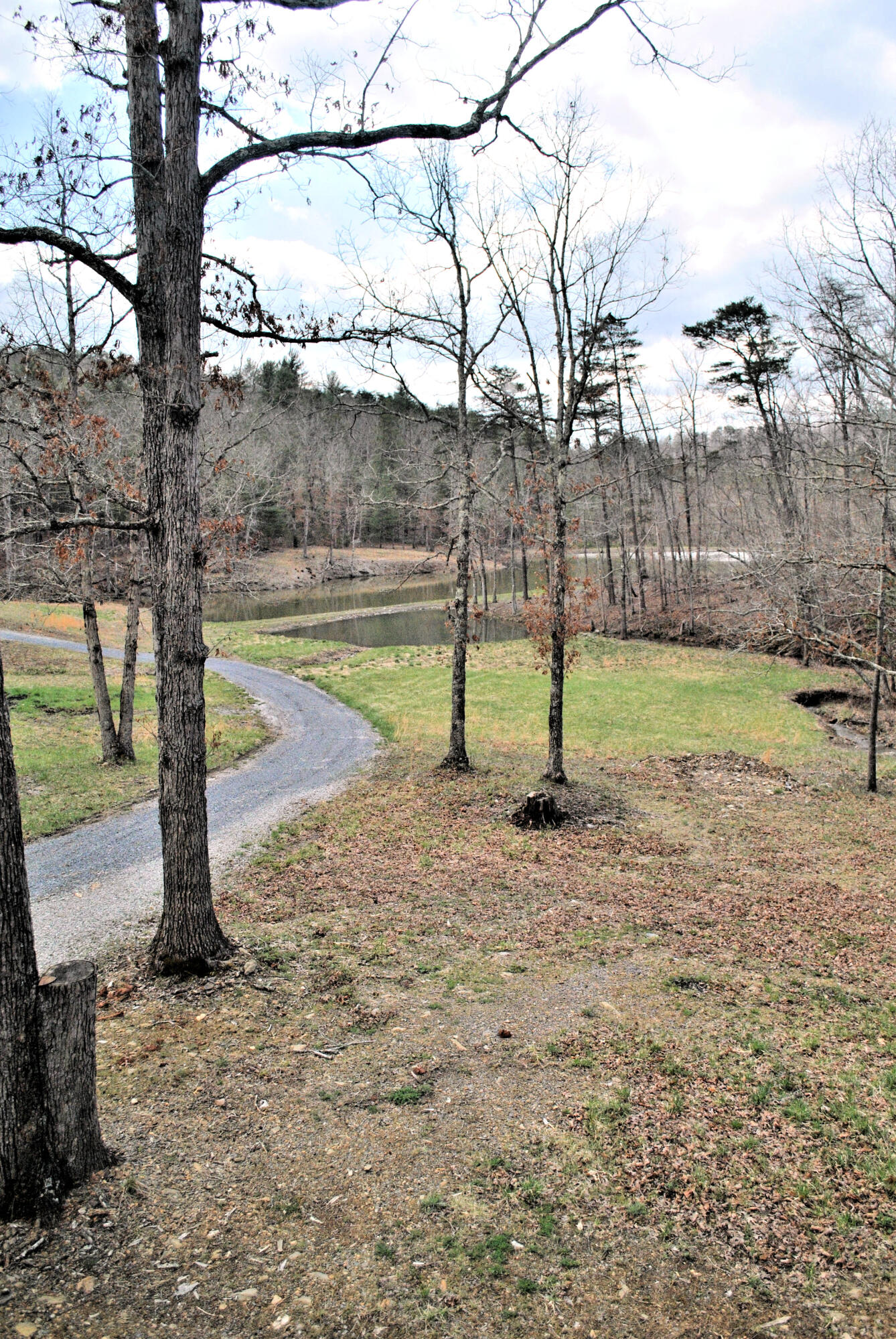 3948 Flatwoods Road Elliston, VA 24087 - Photo 10 of 57 a view of park with large trees