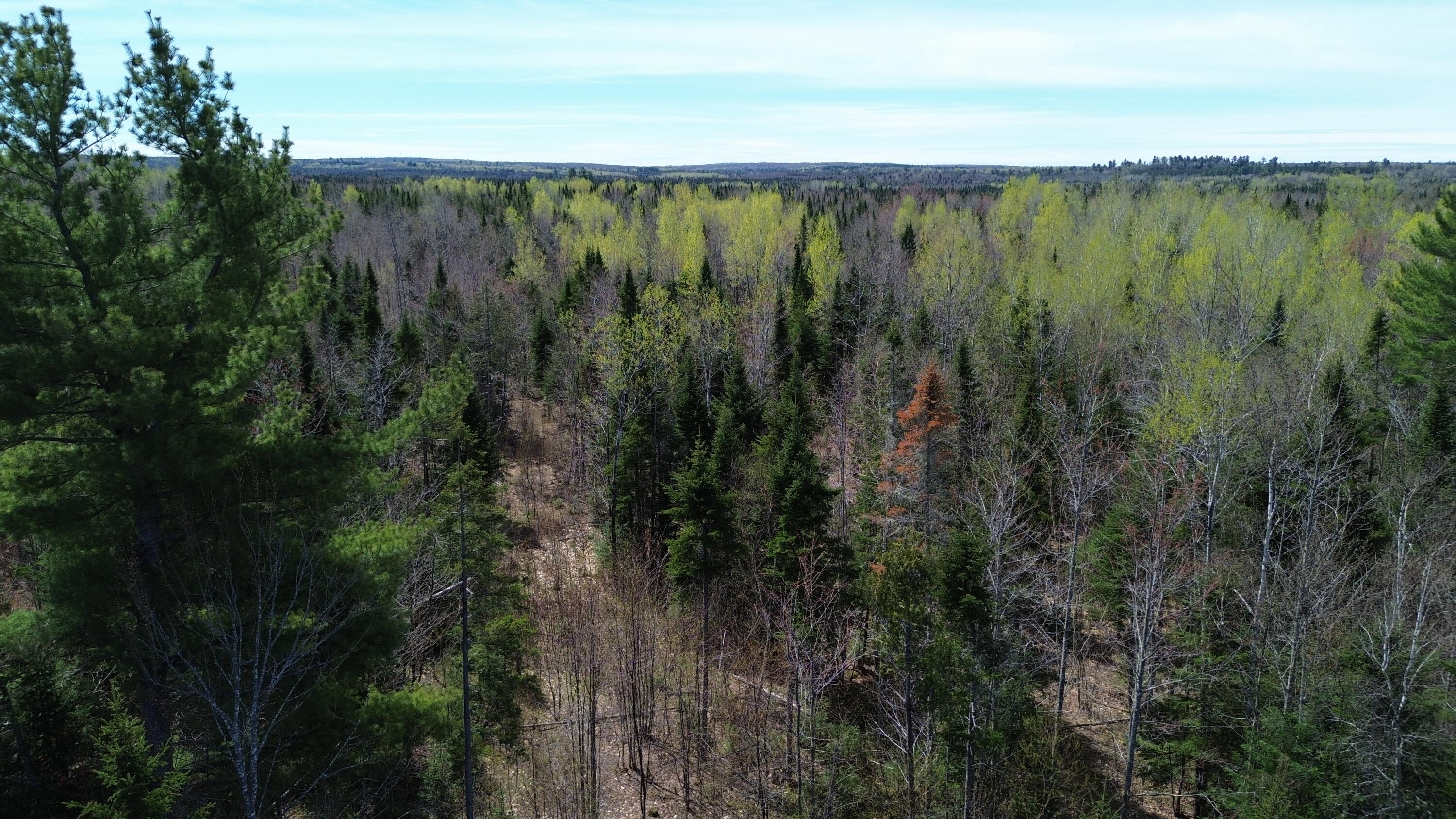 DJI_0819