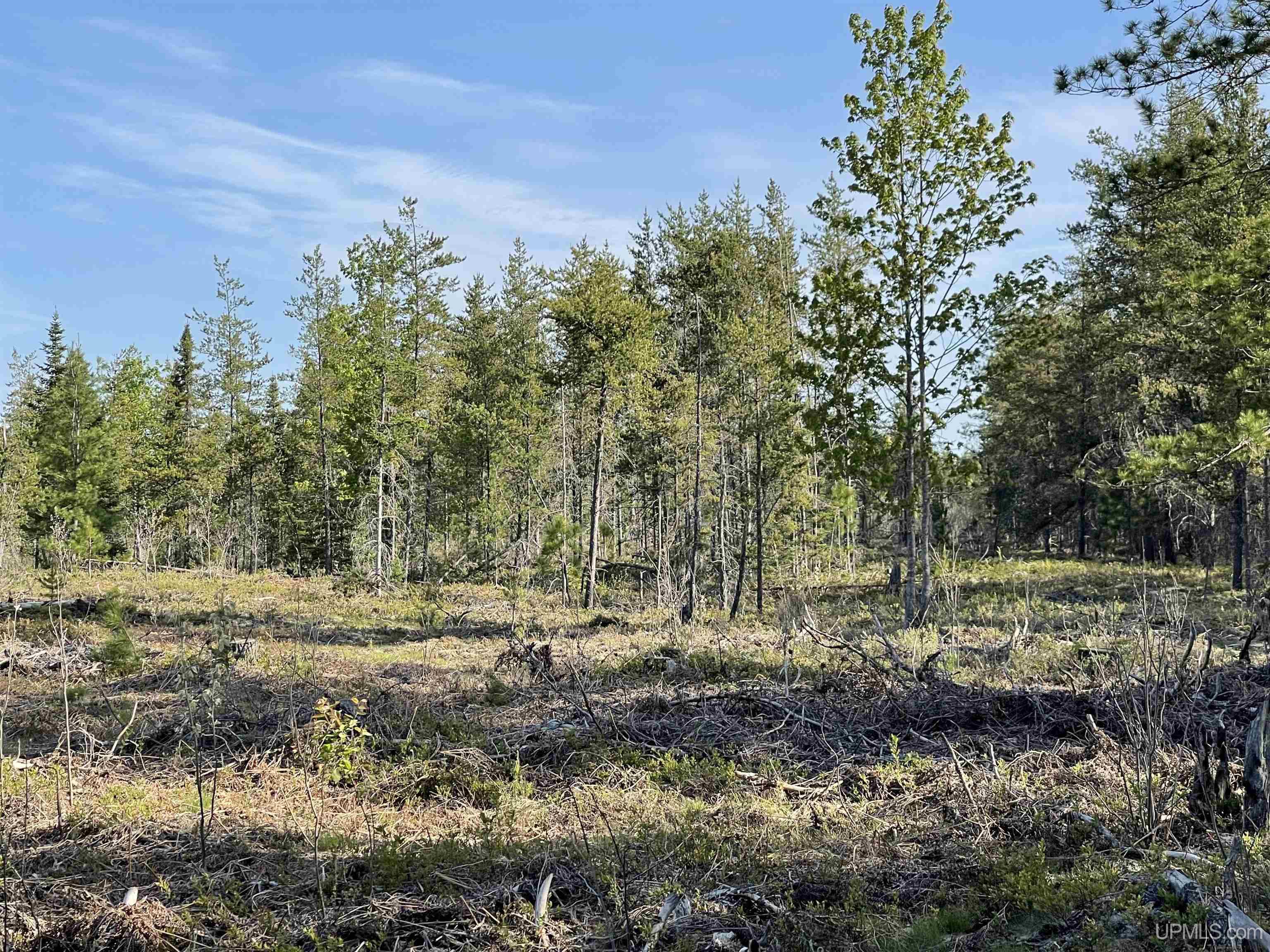 Tbd Tbd Hay Meadow Road Manistique, MI 49854 - Photo 36 of 51