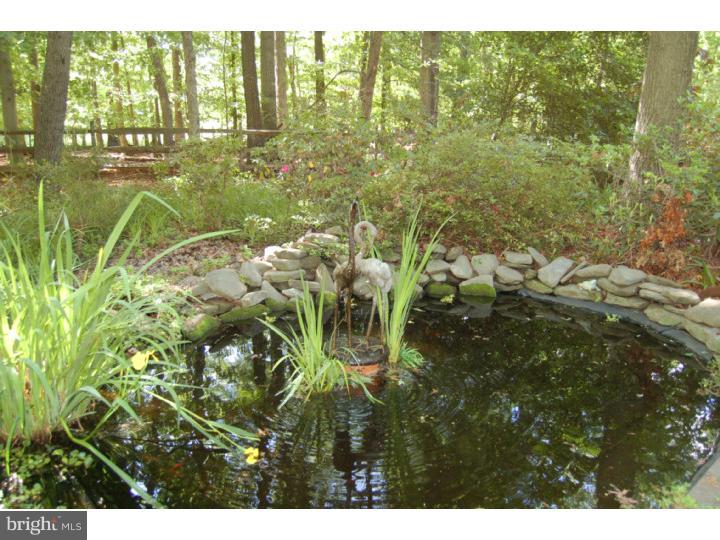 239 Ferrell Road Mullica Hill, NJ 08062 - Photo 24 of 25 Lake / Pond
