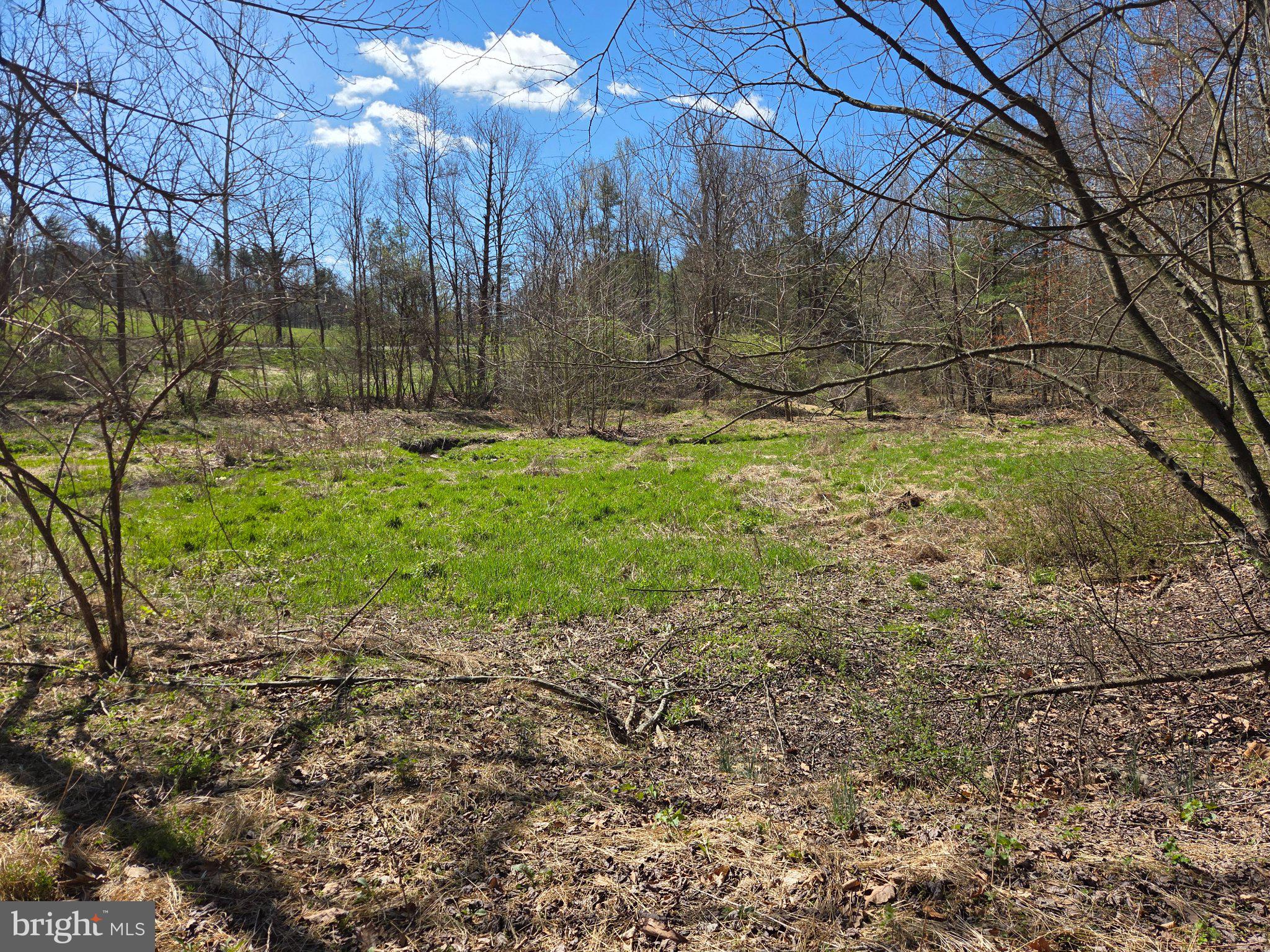 0 Cold Storage Road New Bloomfield, PA 17068 - Photo 11 of 31 a view of backyard of house