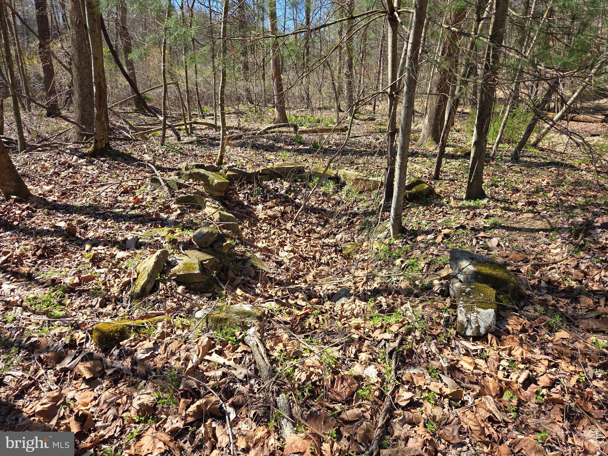 0 Cold Storage Road New Bloomfield, PA 17068 - Photo 13 of 31 a view of yard