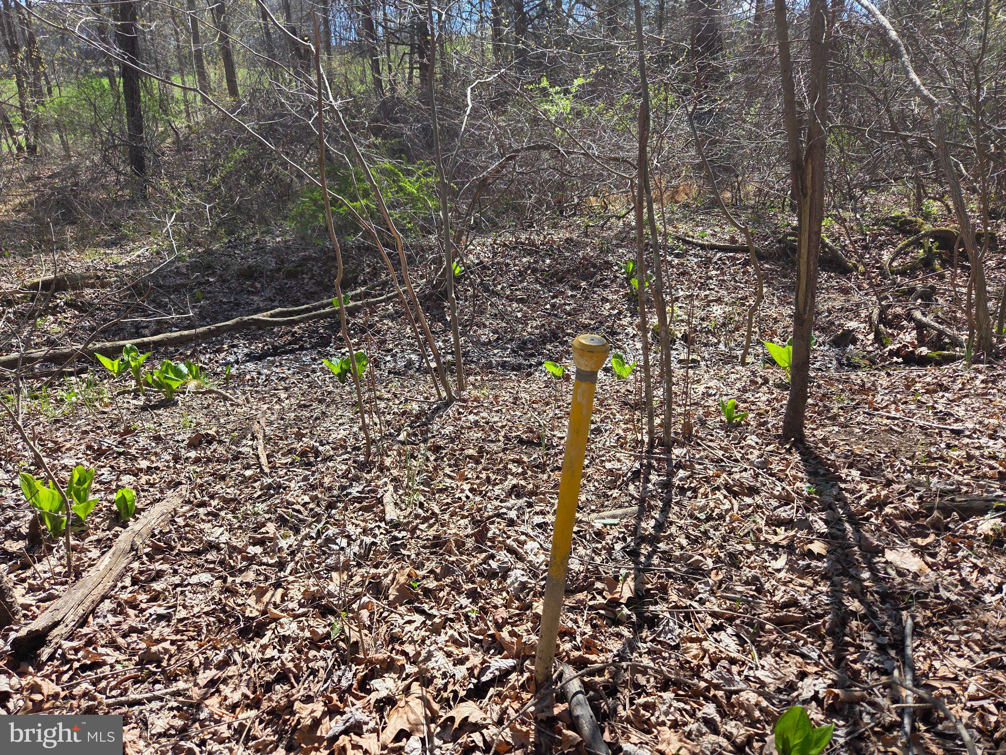 0 Cold Storage Road New Bloomfield, PA 17068 - Photo 14 of 31 a view of yard