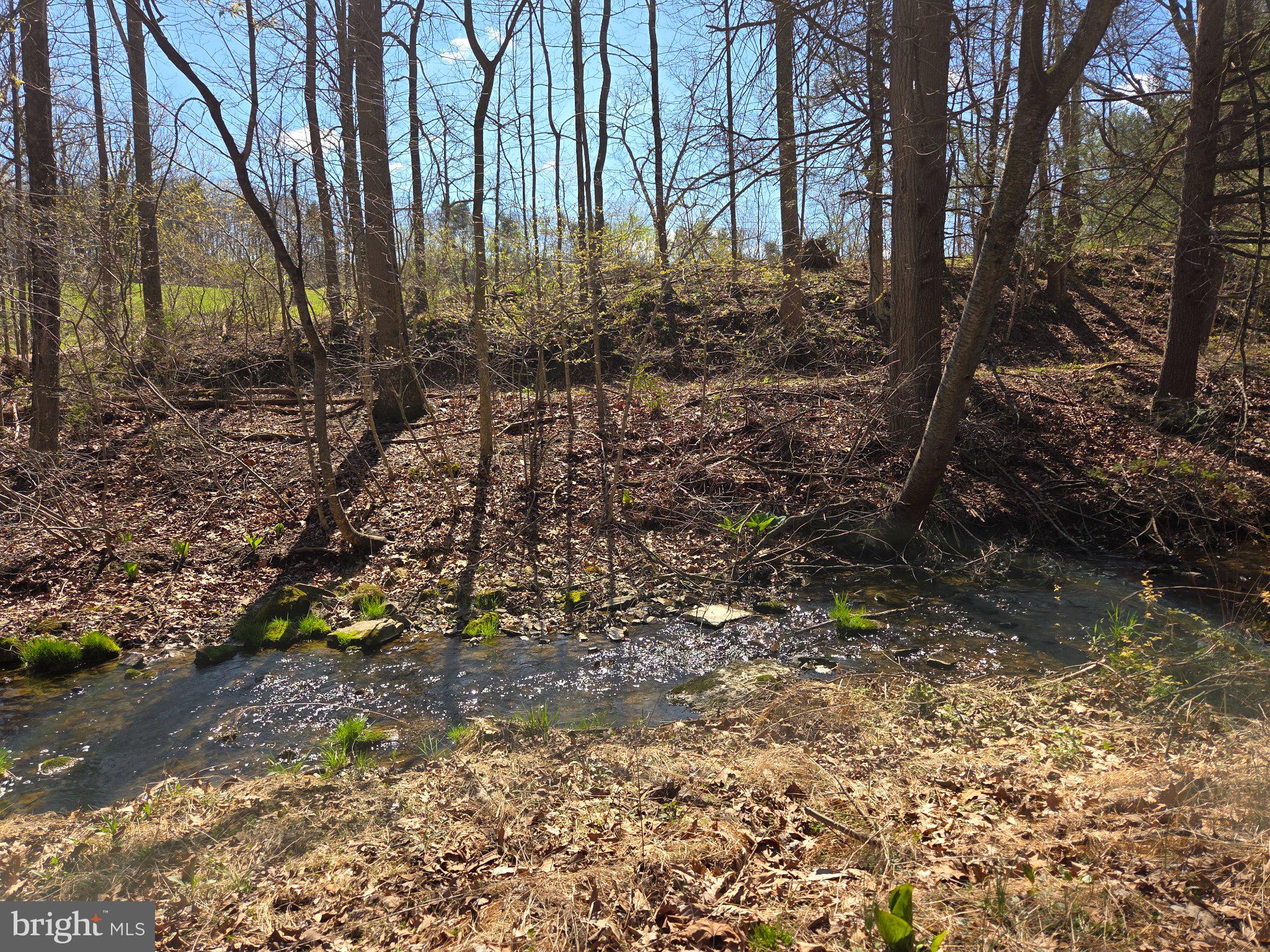 0 Cold Storage Road New Bloomfield, PA 17068 - Photo 15 of 31 a backyard of a house with lots of green space
