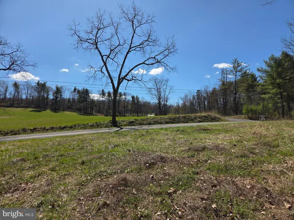 a view of outdoor space with trees