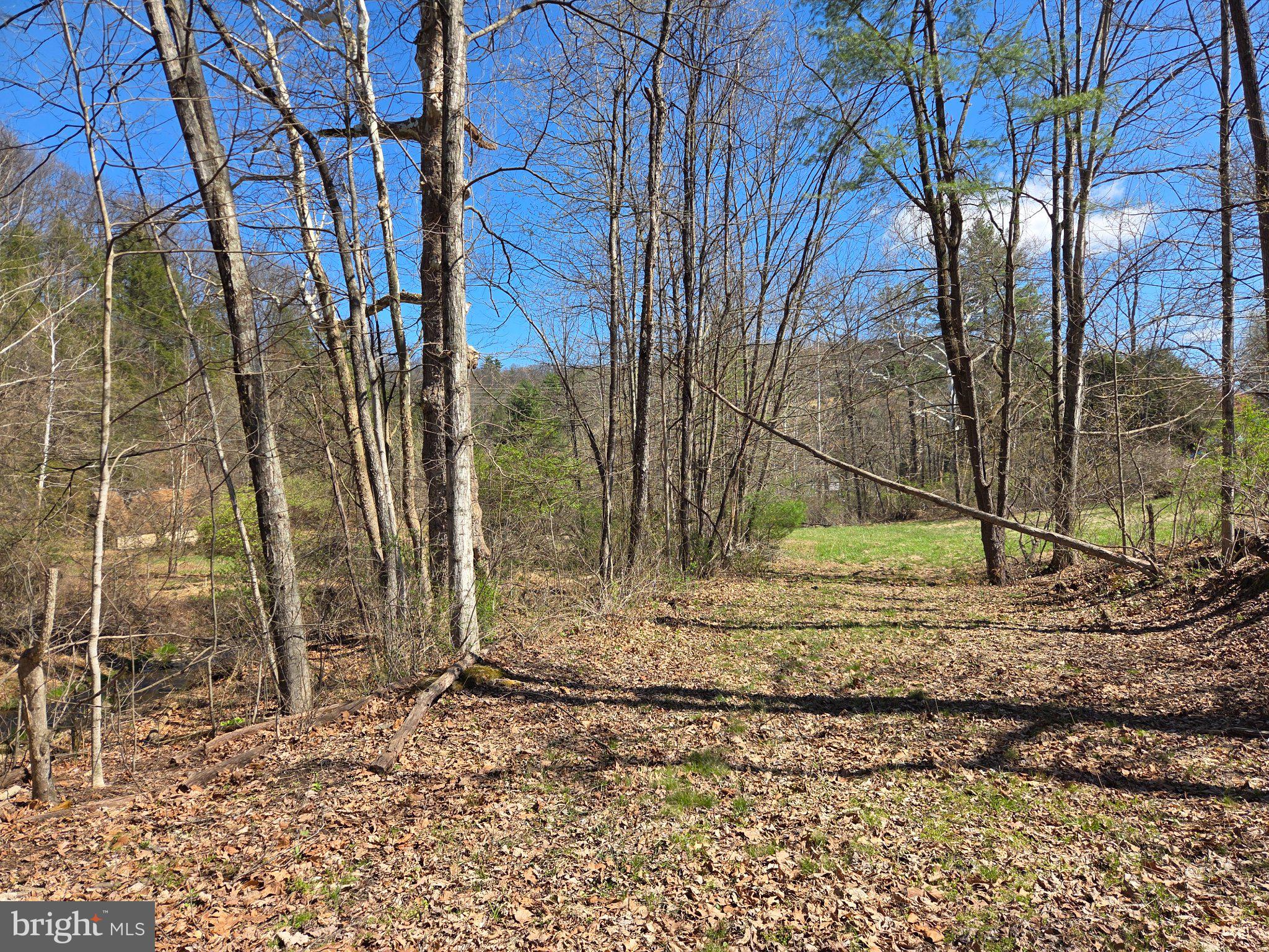 0 Cold Storage Road New Bloomfield, PA 17068 - Photo 18 of 31 a backyard of a house with lots of green space