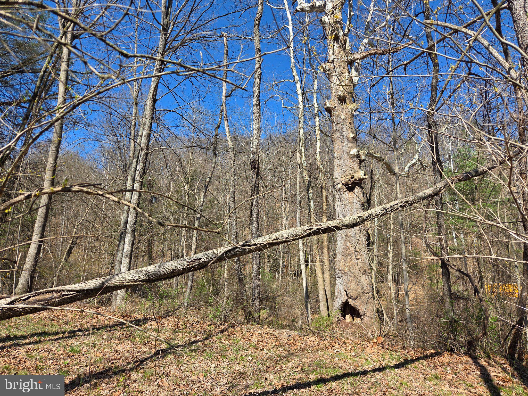 0 Cold Storage Road New Bloomfield, PA 17068 - Photo 20 of 31 a view of wooden stairs