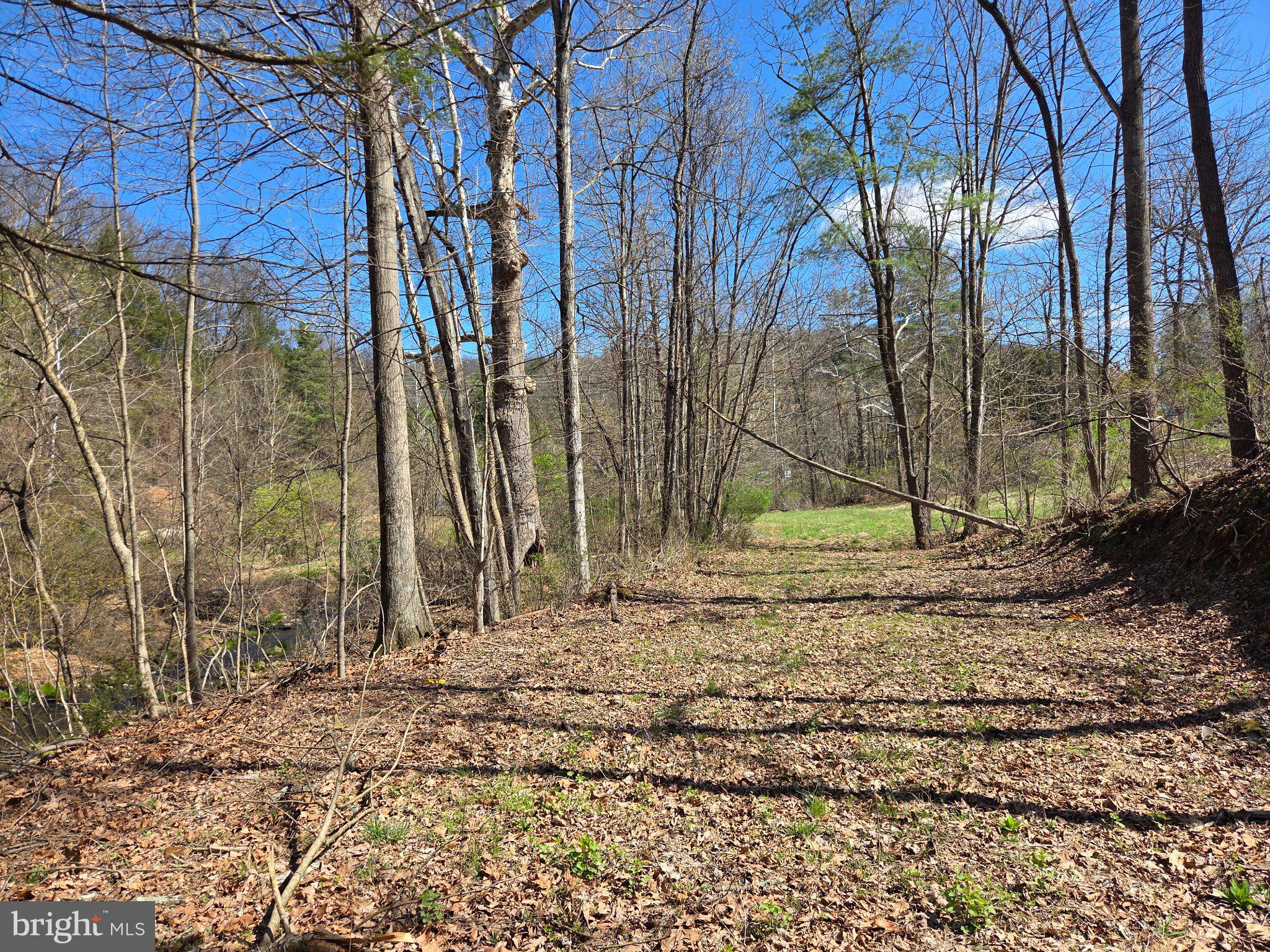 0 Cold Storage Road New Bloomfield, PA 17068 - Photo 2 of 31 a backyard of a house with lots of green space