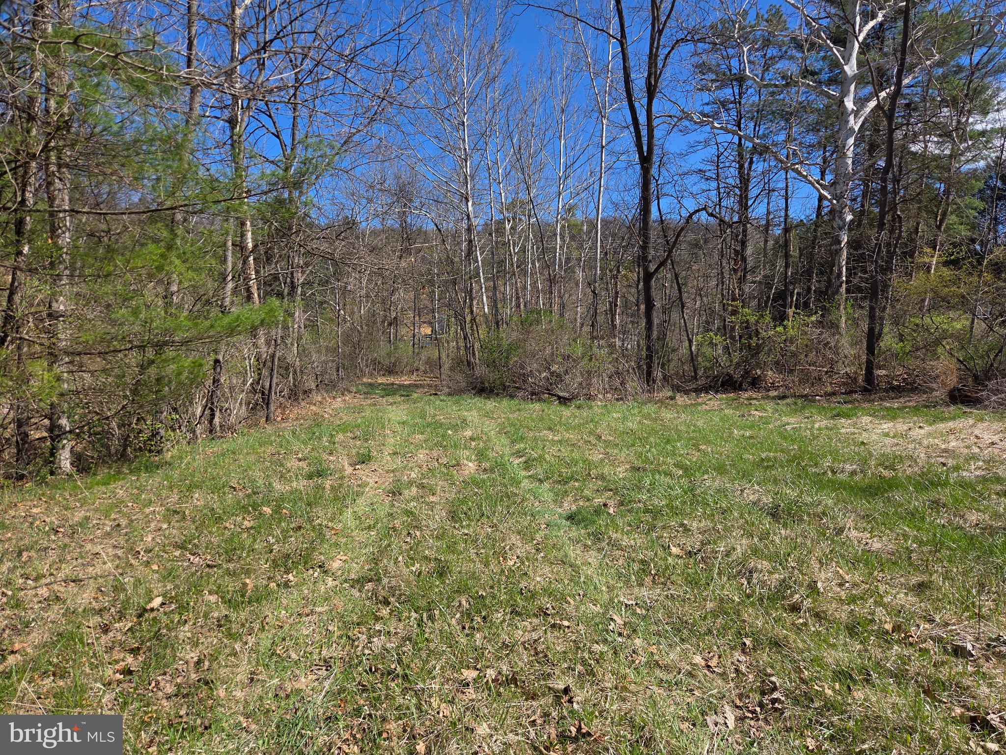 0 Cold Storage Road New Bloomfield, PA 17068 - Photo 21 of 31 a view of a yard with large trees
