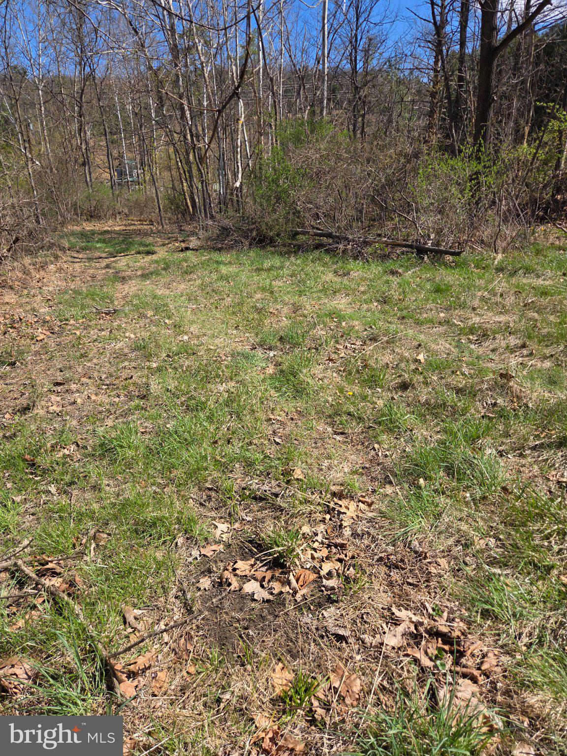 0 Cold Storage Road New Bloomfield, PA 17068 - Photo 22 of 31 a view of a yard with a tree