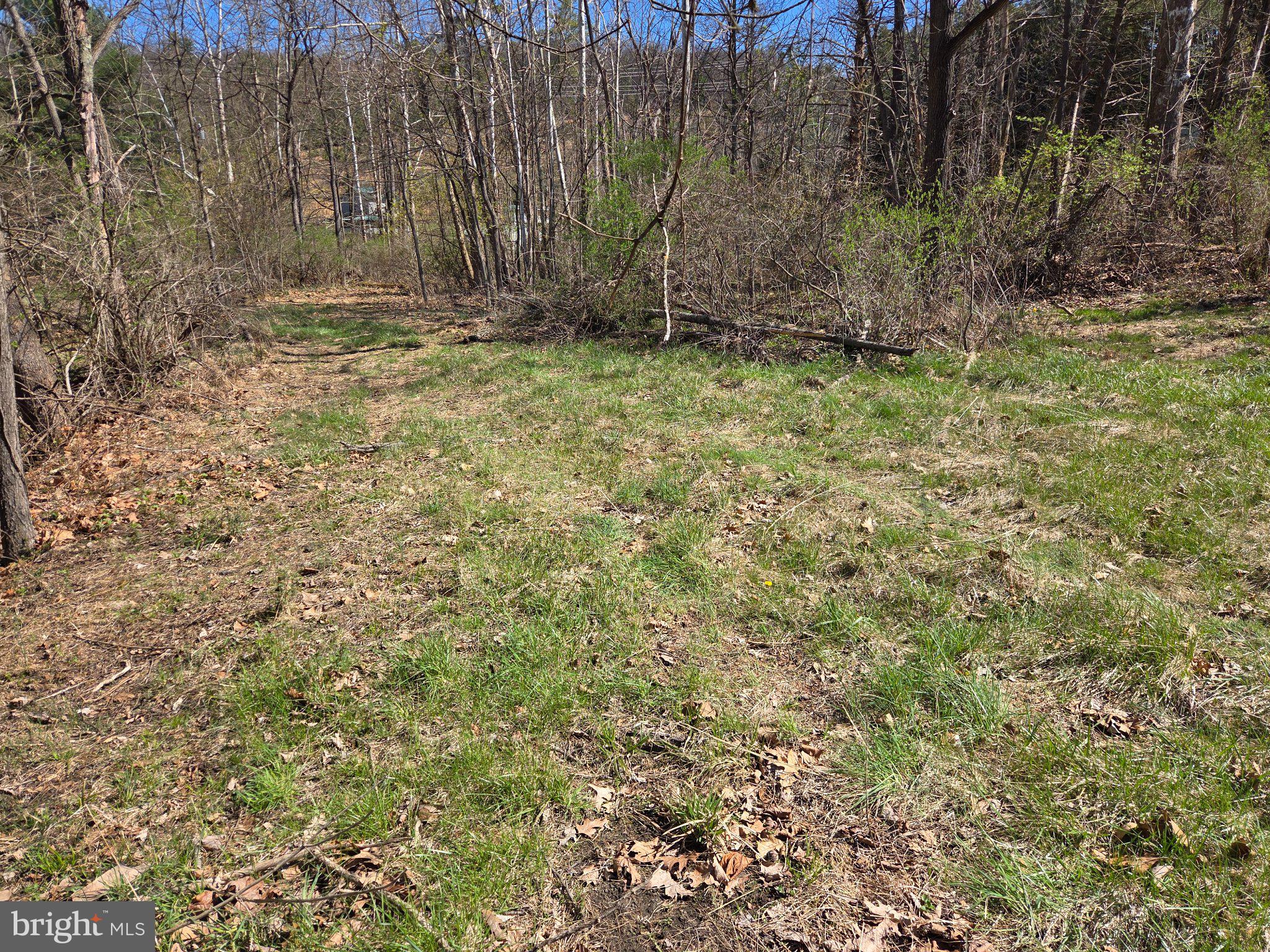 0 Cold Storage Road New Bloomfield, PA 17068 - Photo 23 of 31 a view of backyard with green space