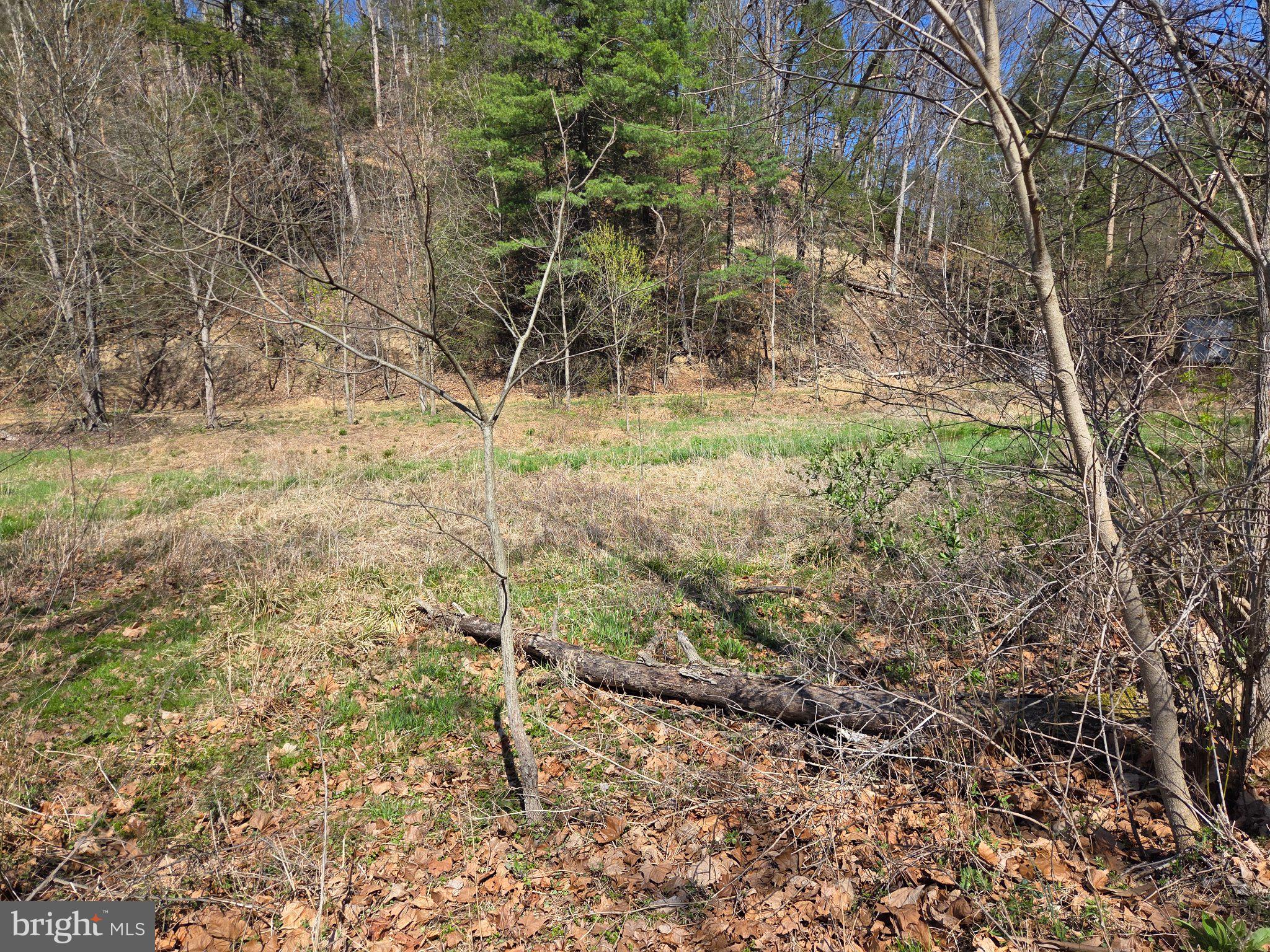 0 Cold Storage Road New Bloomfield, PA 17068 - Photo 25 of 31 a view of outdoor space and a yard