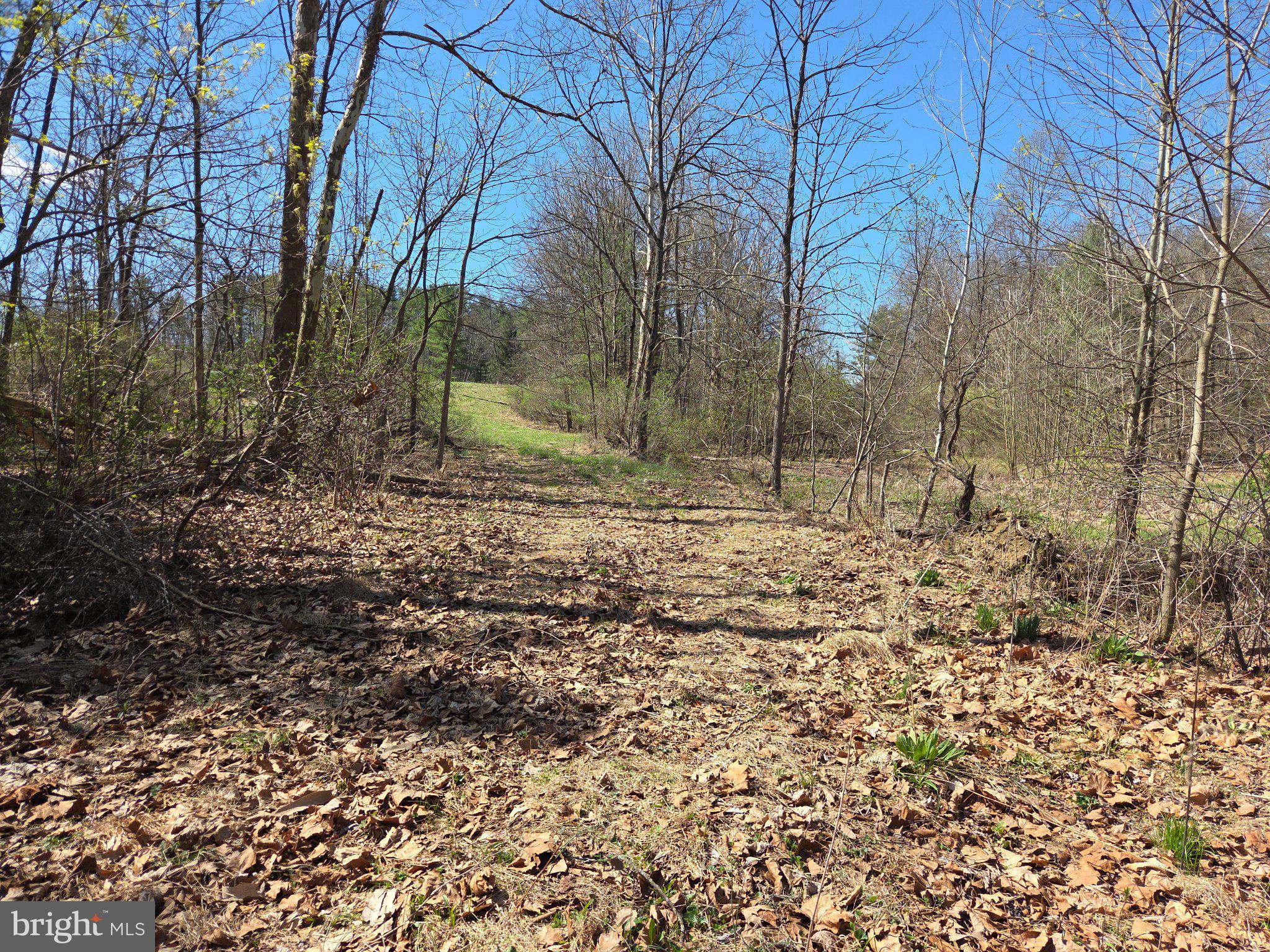 0 Cold Storage Road New Bloomfield, PA 17068 - Photo 26 of 31 a backyard of a house