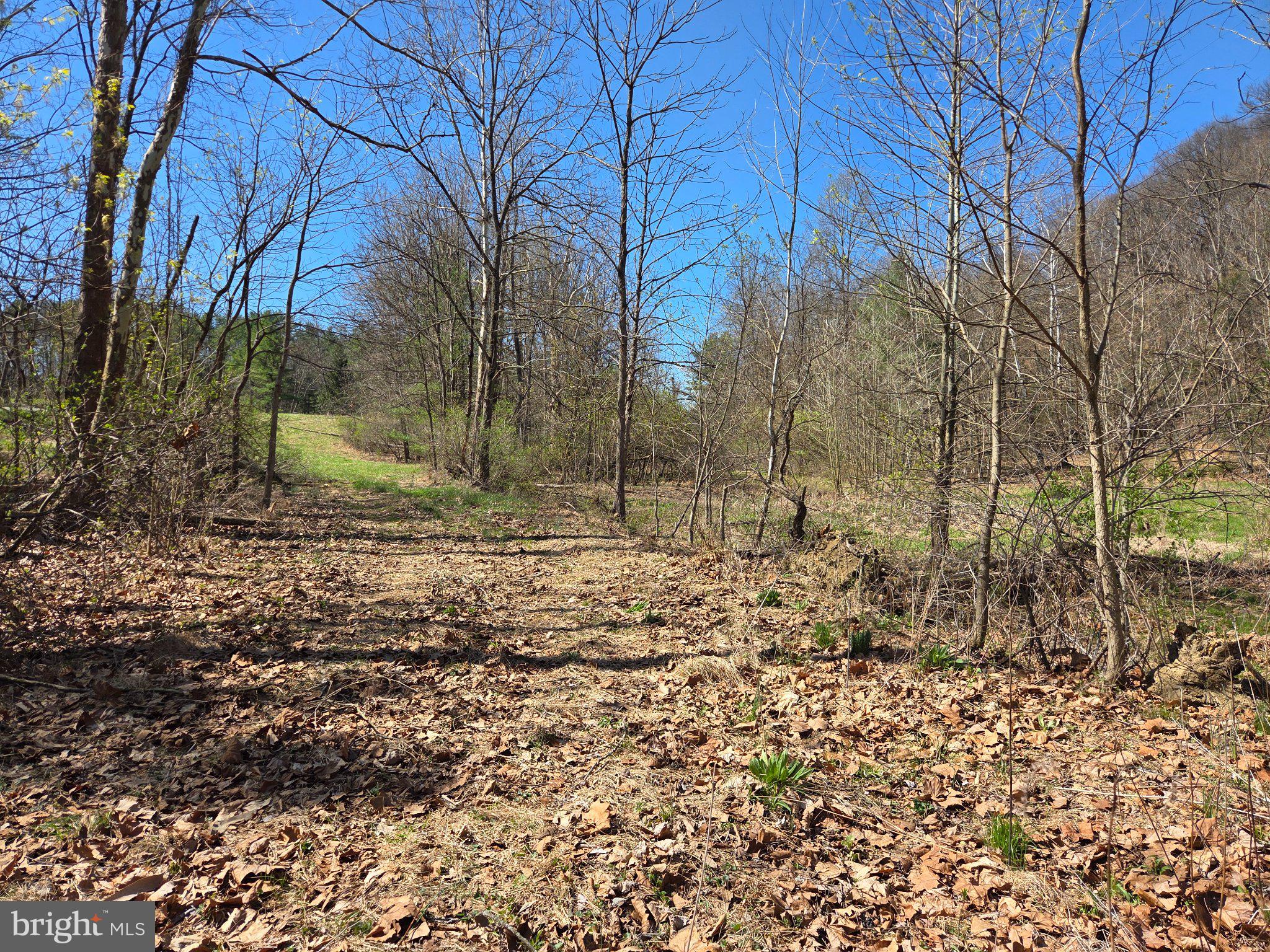 0 Cold Storage Road New Bloomfield, PA 17068 - Photo 27 of 31 a backyard of a house with lots of green space