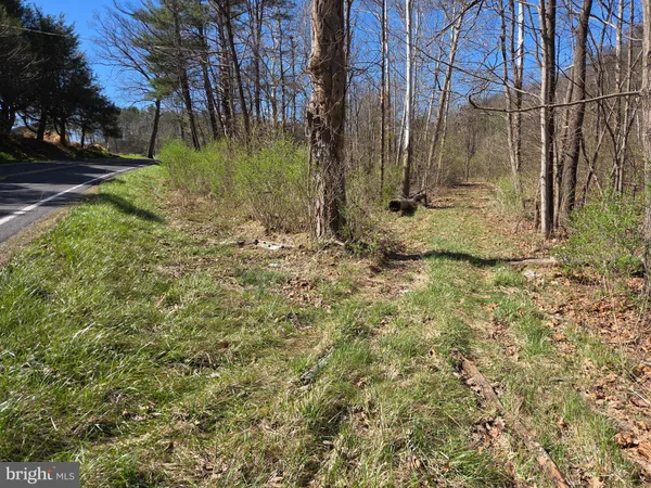 a view of a yard