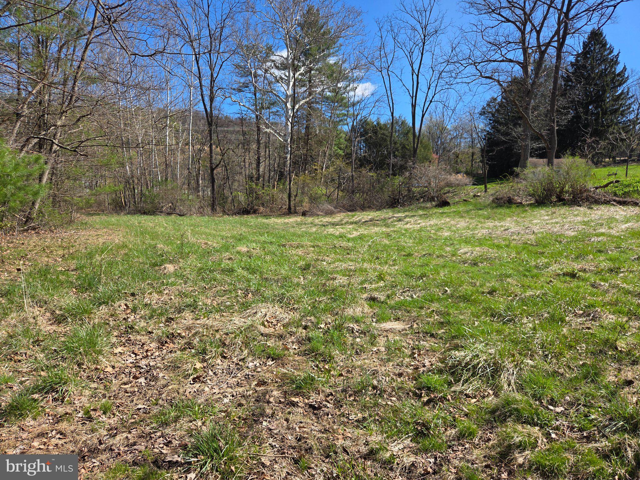 0 Cold Storage Road New Bloomfield, PA 17068 - Photo 3 of 31 a view of a yard with an trees