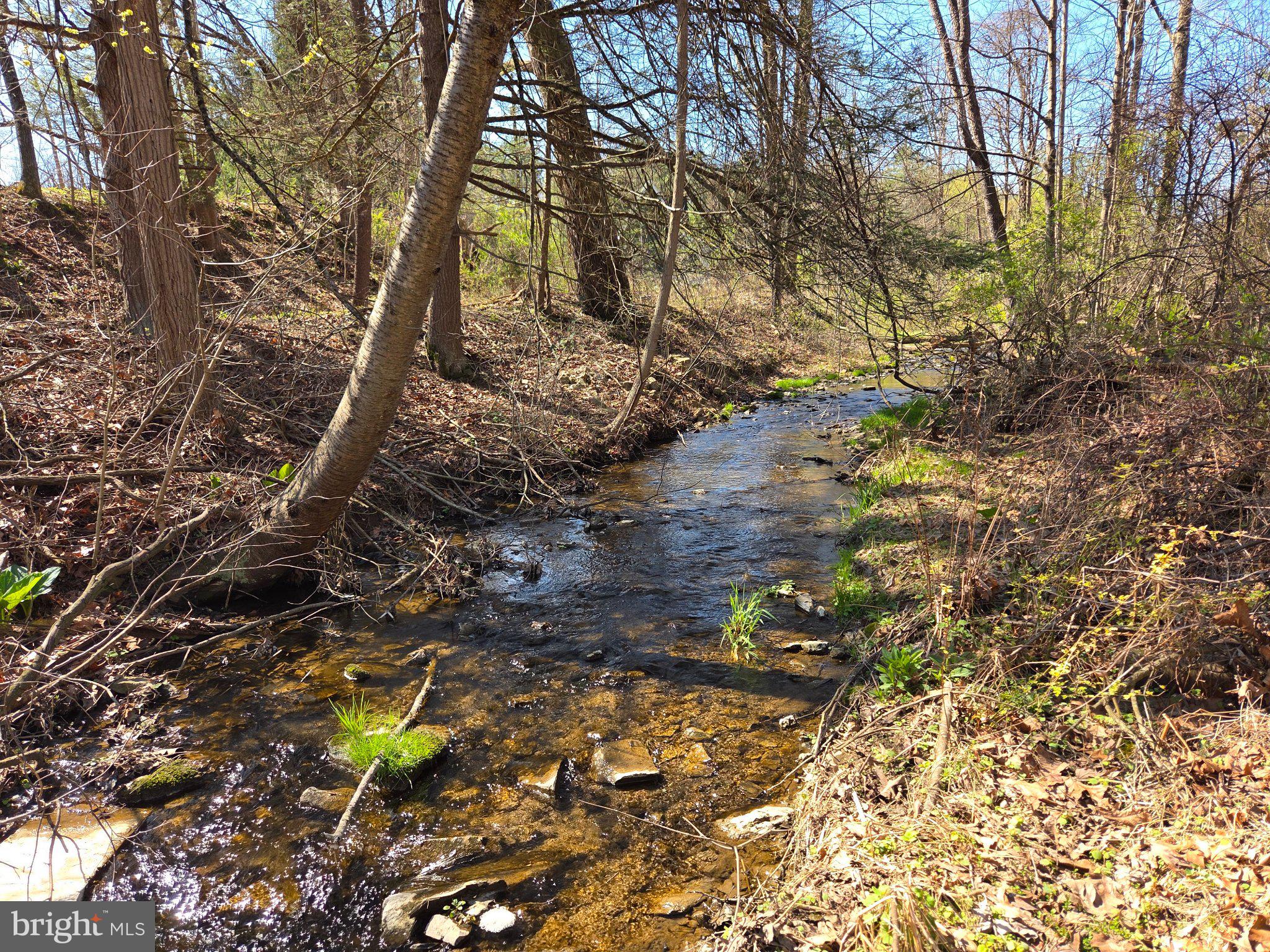 0 Cold Storage Road New Bloomfield, PA 17068 - Photo 31 of 31 a view of a tree in a yard