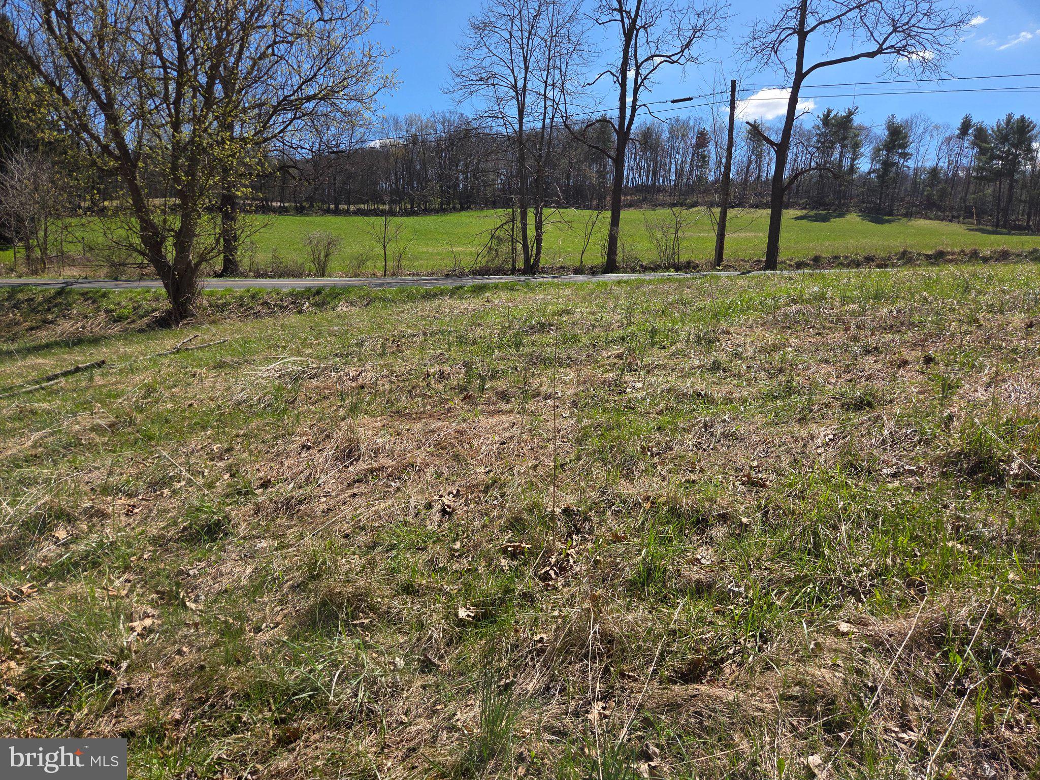 0 Cold Storage Road New Bloomfield, PA 17068 - Photo 4 of 31 a view of a yard with a house