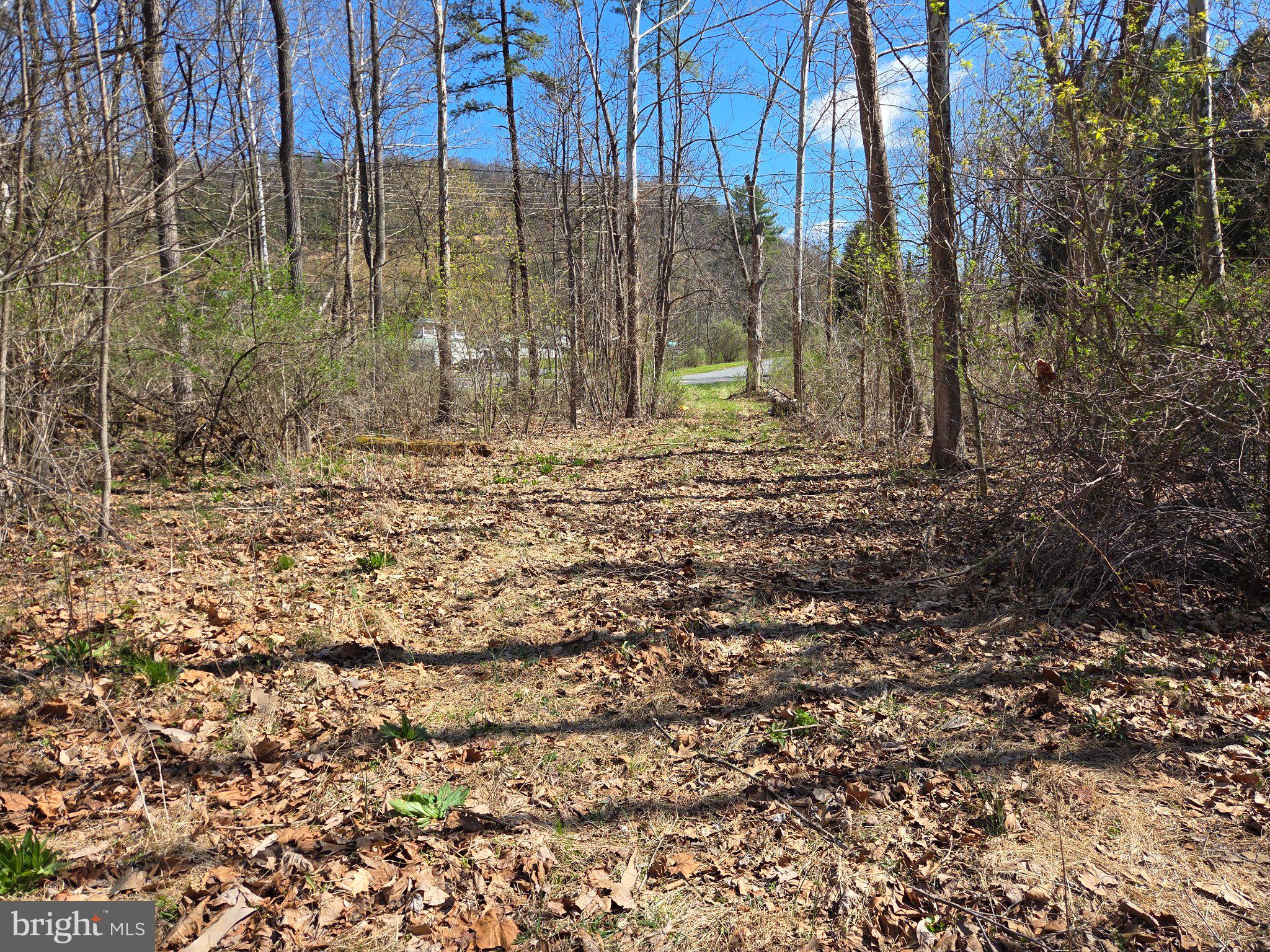 0 Cold Storage Road New Bloomfield, PA 17068 - Photo 5 of 31 a view of a backyard of the house