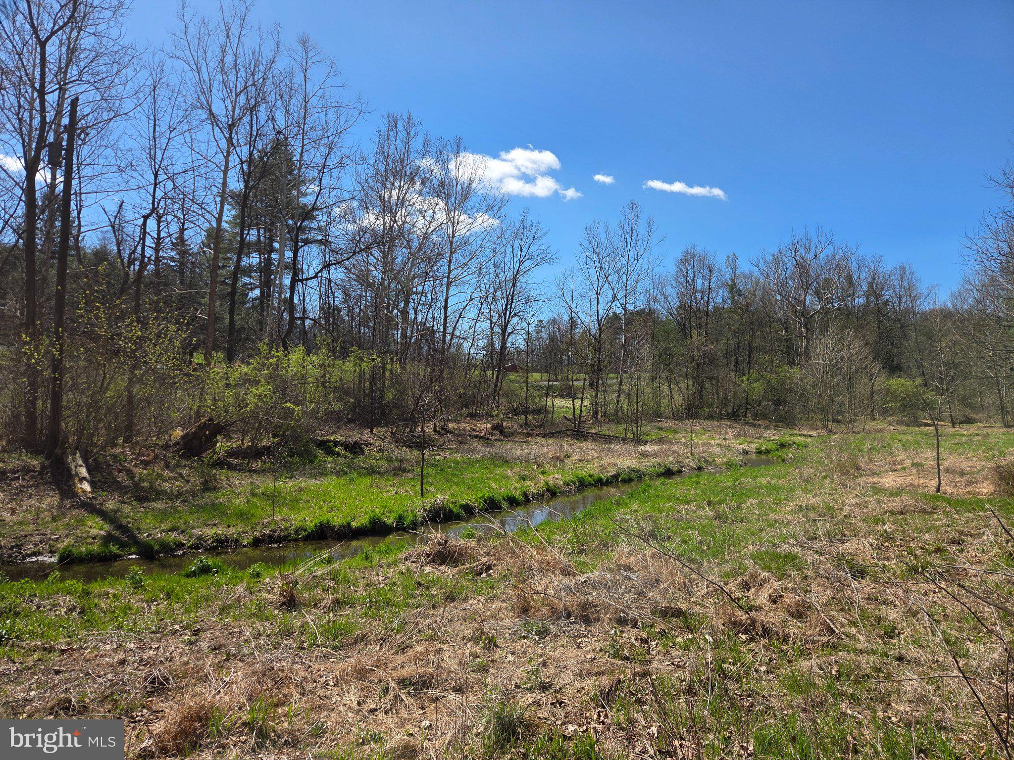 0 Cold Storage Road New Bloomfield, PA 17068 - Photo 6 of 31 a view of a yard with a tree