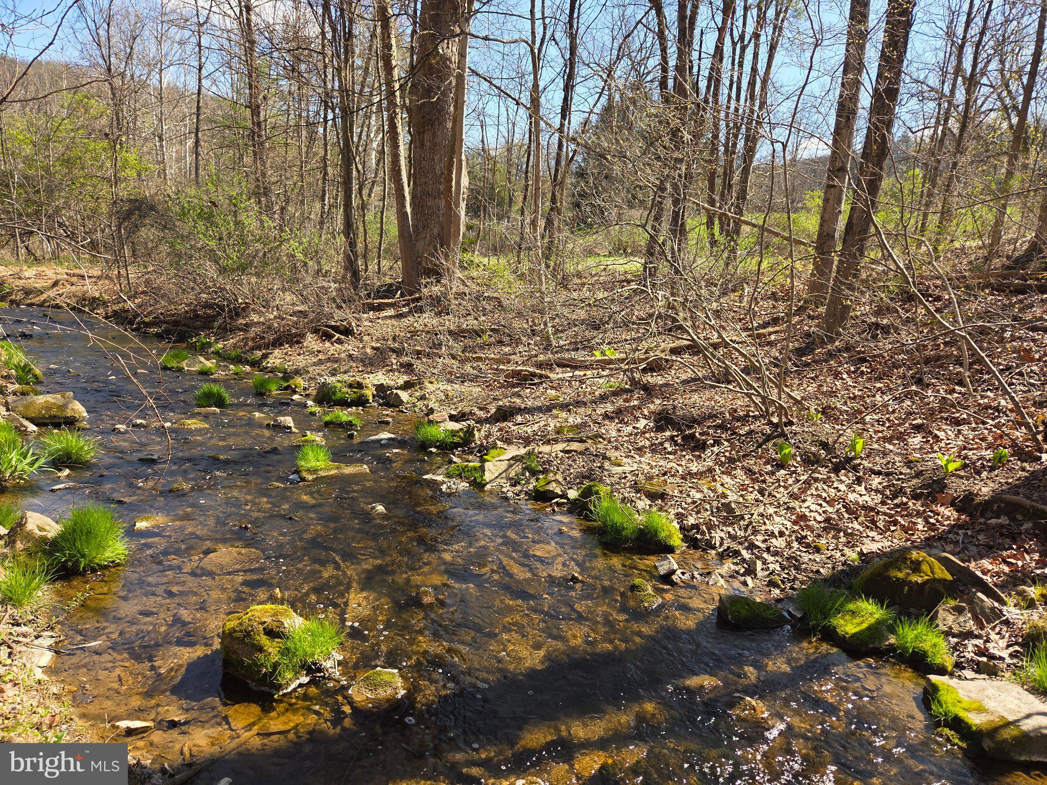 0 Cold Storage Road New Bloomfield, PA 17068 - Photo 9 of 31 a backyard of a house with lots of green space