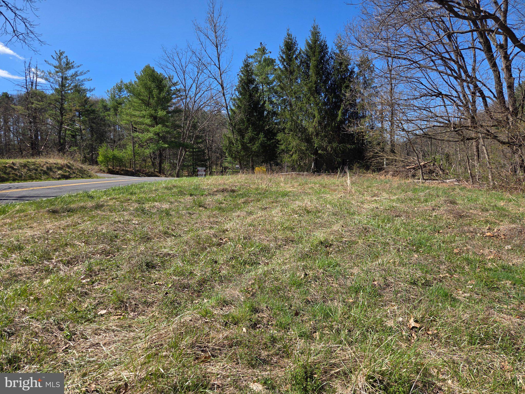 0 Cold Storage Road New Bloomfield, PA 17068 - Photo 10 of 31 a view of a yard with an trees