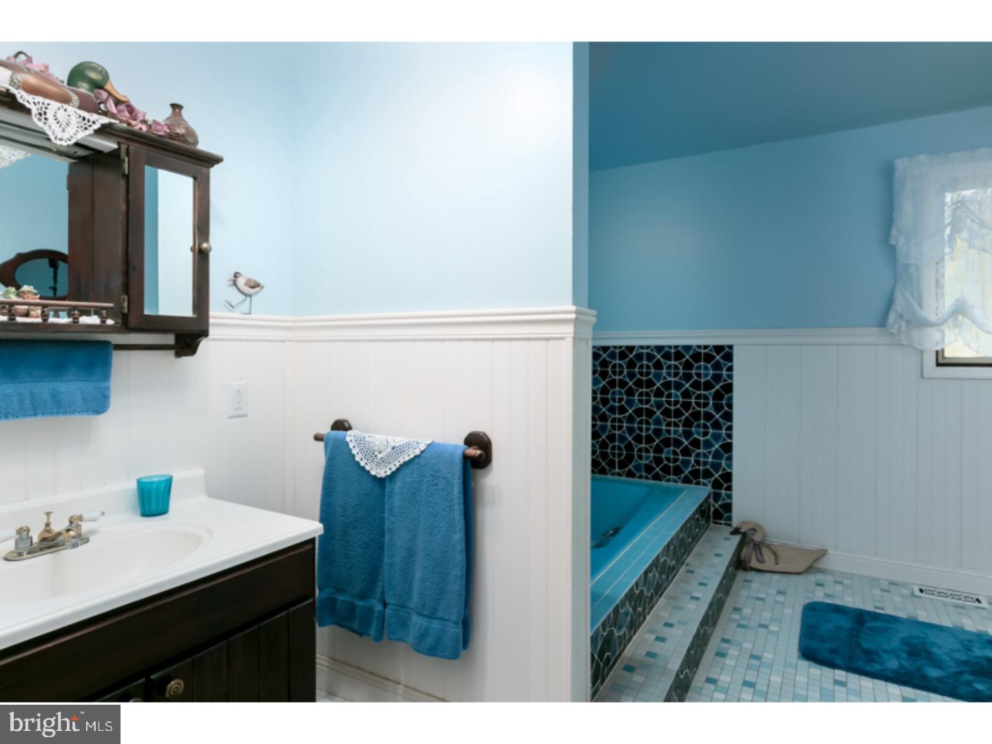 423 Carranza Road Tabernacle, NJ 08088 - Photo 15 of 24 Master Bathroom