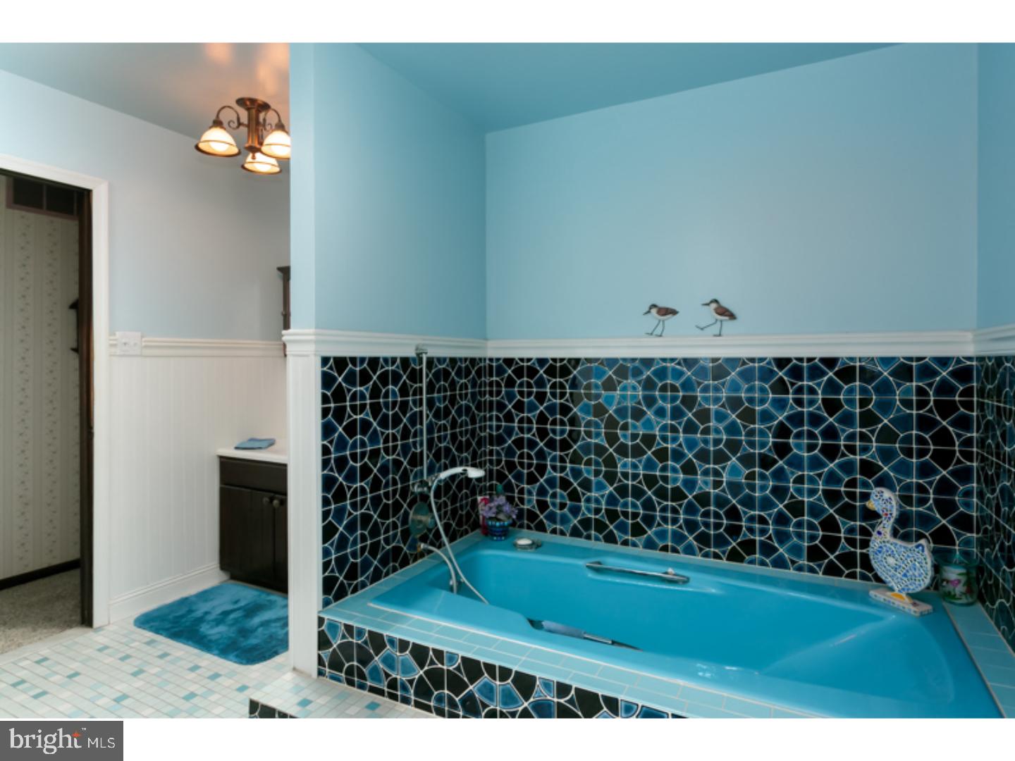 423 Carranza Road Tabernacle, NJ 08088 - Photo 16 of 24 Master Bathroom
