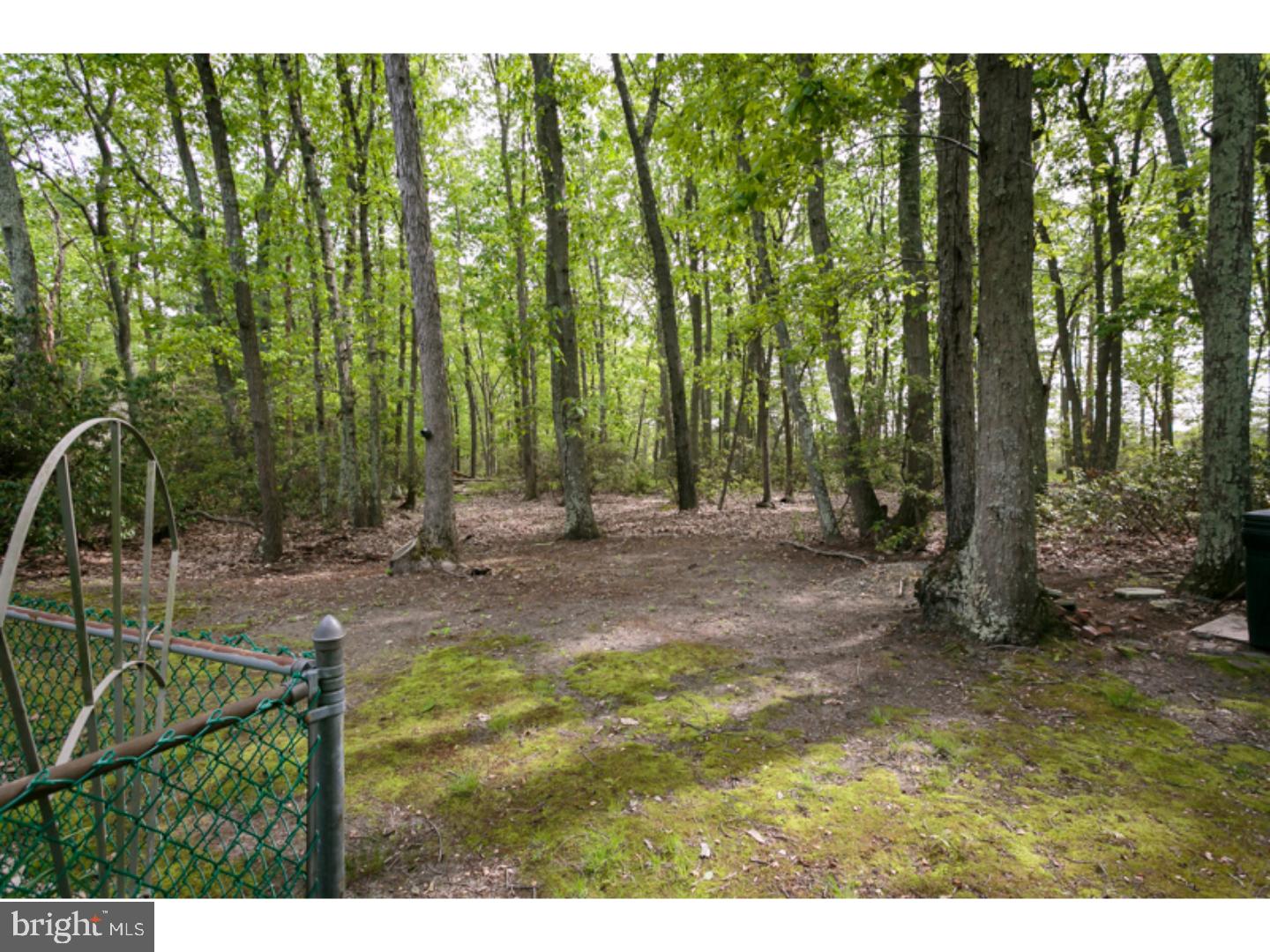 423 Carranza Road Tabernacle, NJ 08088 - Photo 24 of 24 Back Yard