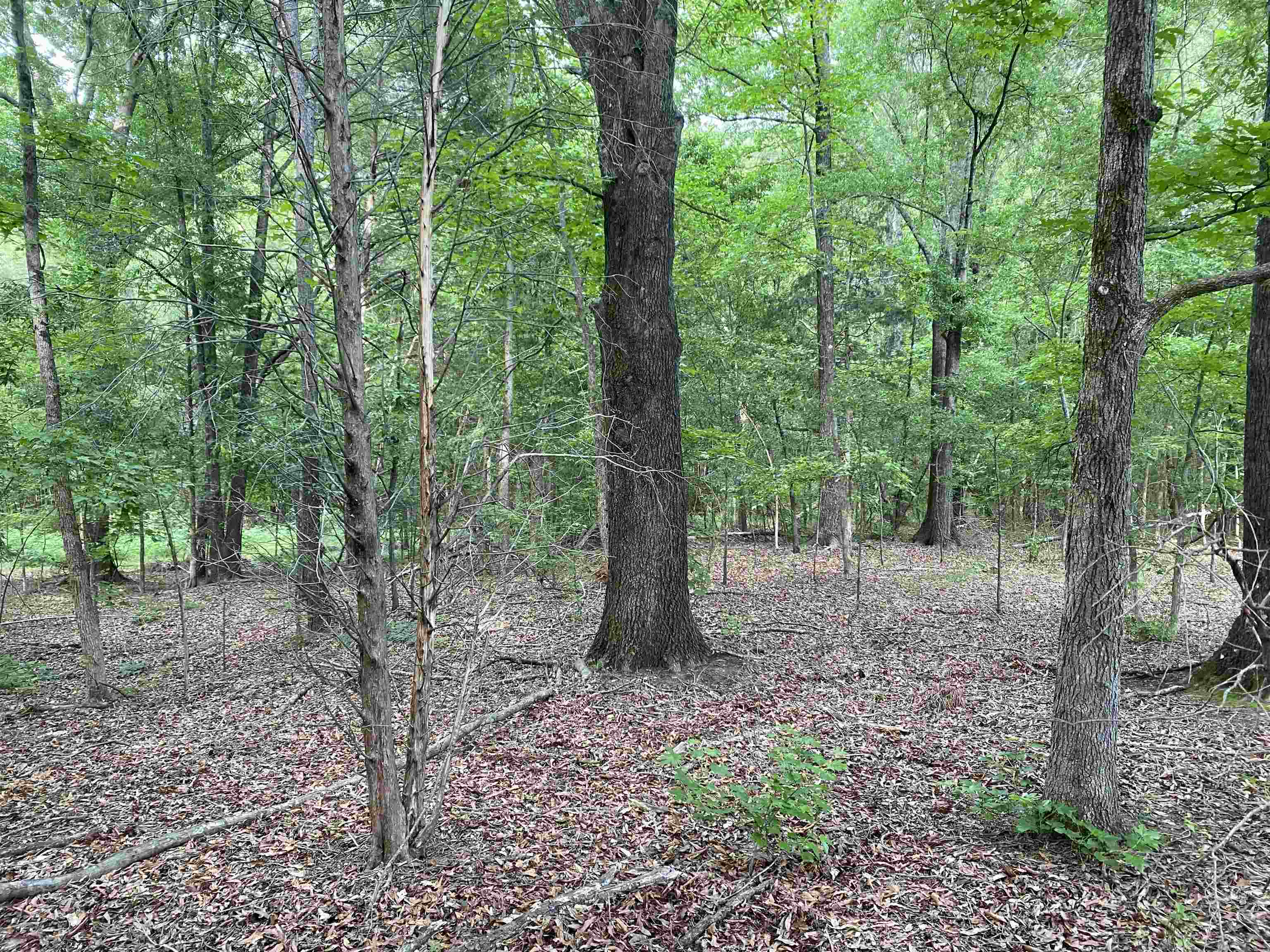 0 West Rutledge Avenue Gaffney, SC 29341 - Photo 8 of 11 Gallery Image 8
