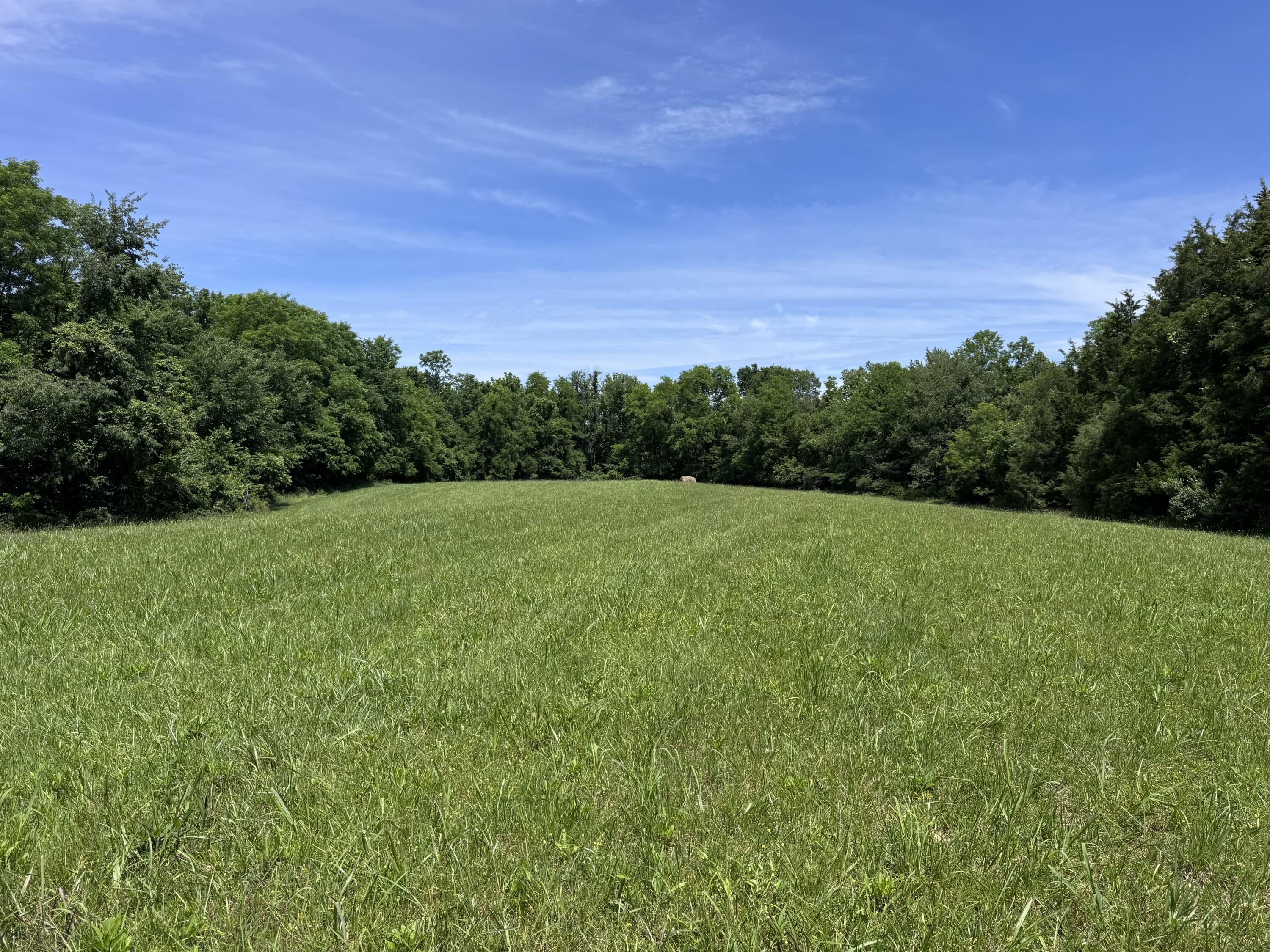 9999 Cedarmore Road Bagdad, KY 40003 - Photo 18 of 24 IMG_8016