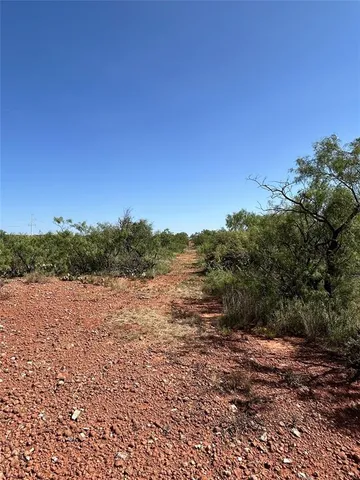 a view of an outdoor space with yard