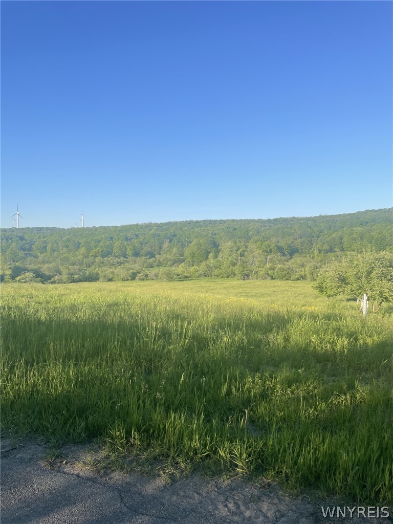 Lost Nations Road Freedom, NY 14065 - Photo 1 of 2