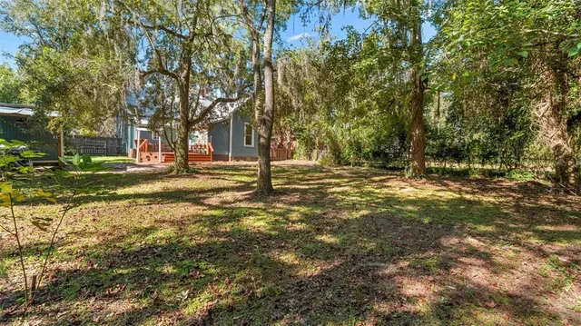 a view of a yard with a tree