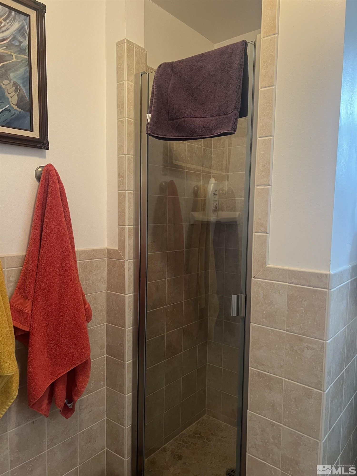 104 Virginia Street Yerington, NV 89447 - Photo 12 of 15 a bathroom with a shower