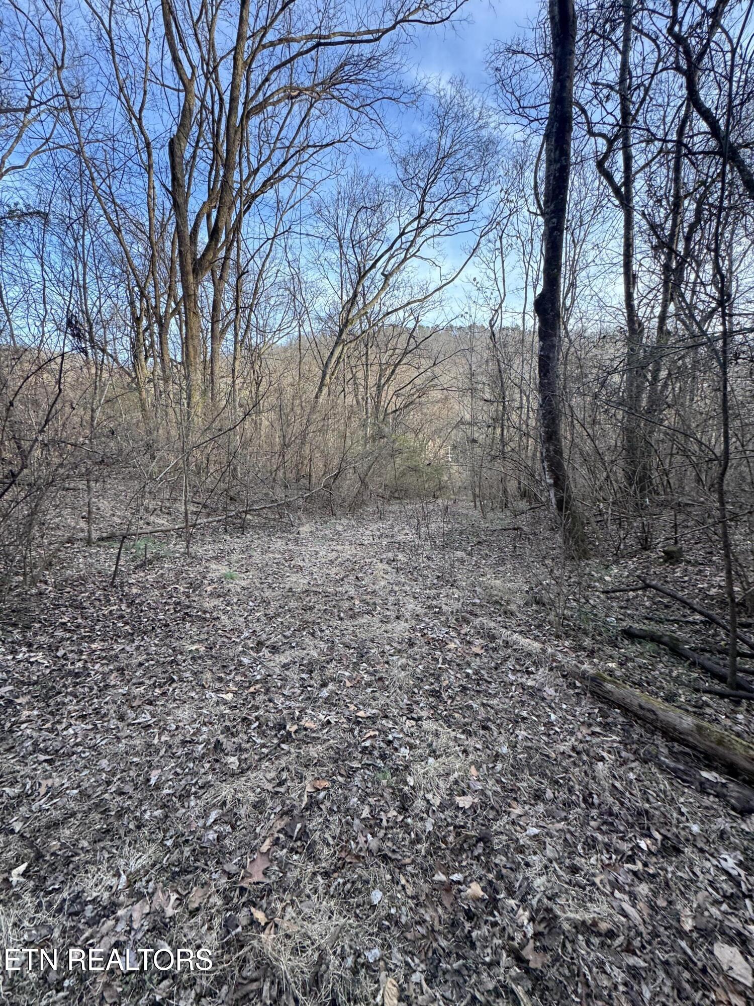 513 Jimtown Road Newport, TN 37821 - Photo 11 of 14 IMG_0498