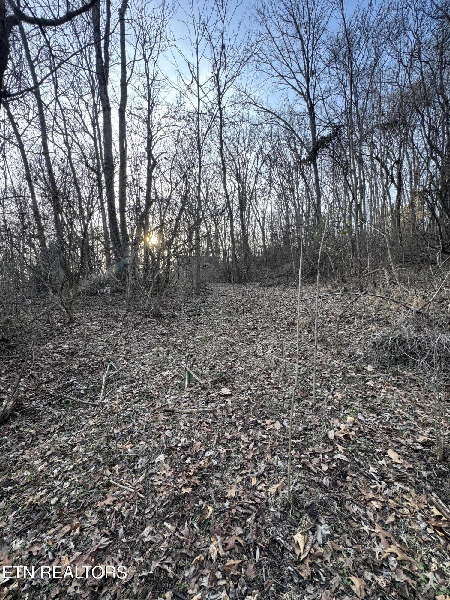 513 Jimtown Road Newport, TN 37821 - Photo 12 of 14 IMG_0497