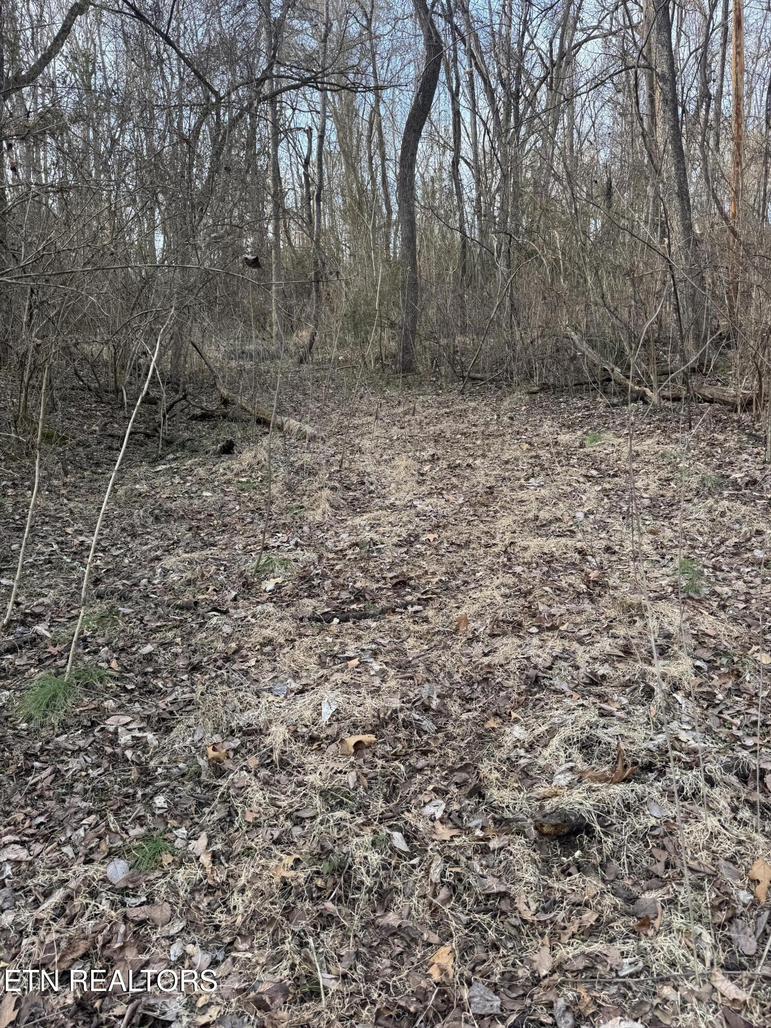 513 Jimtown Road Newport, TN 37821 - Photo 13 of 14 IMG_0501