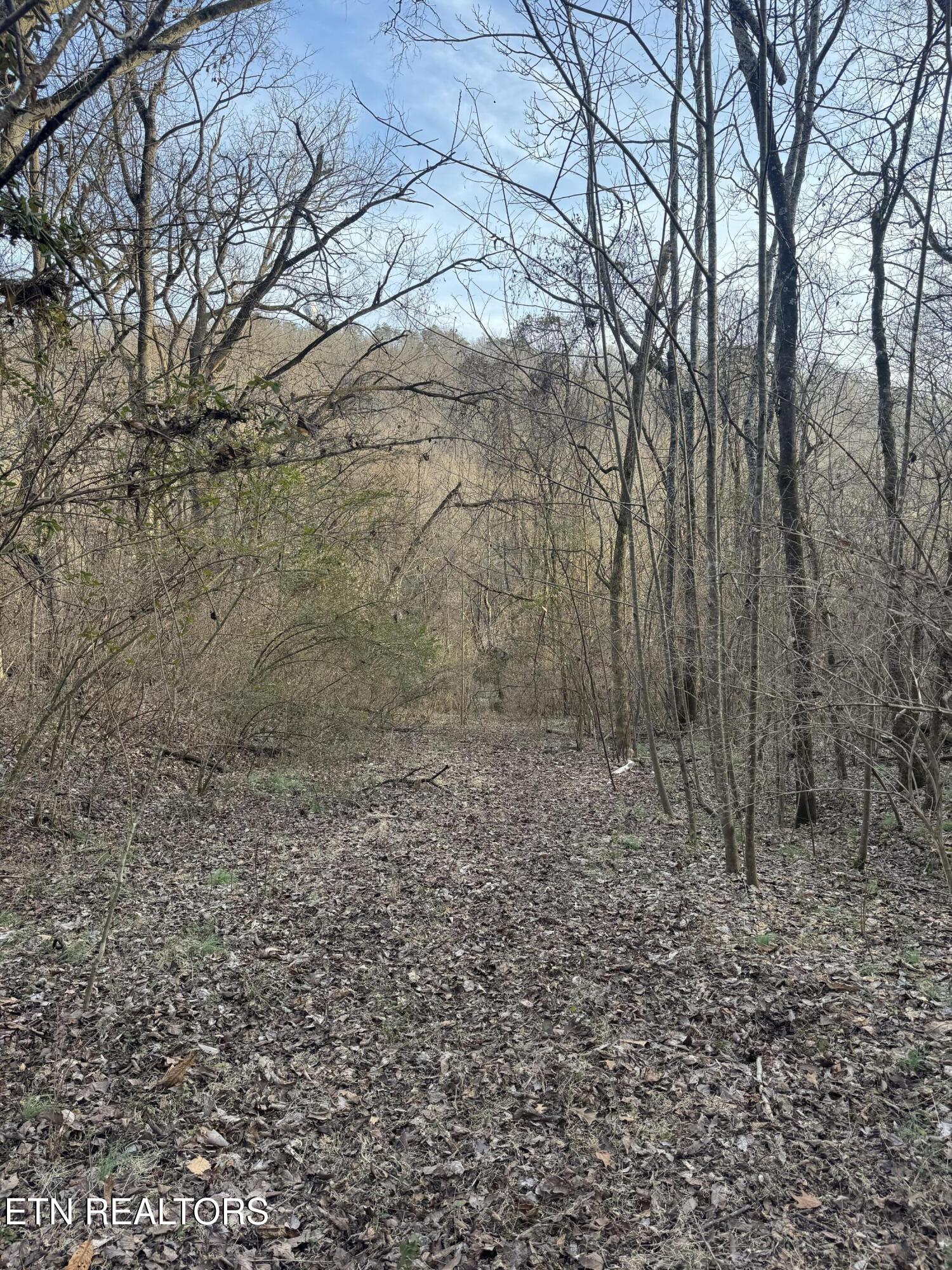 513 Jimtown Road Newport, TN 37821 - Photo 14 of 14 IMG_0500