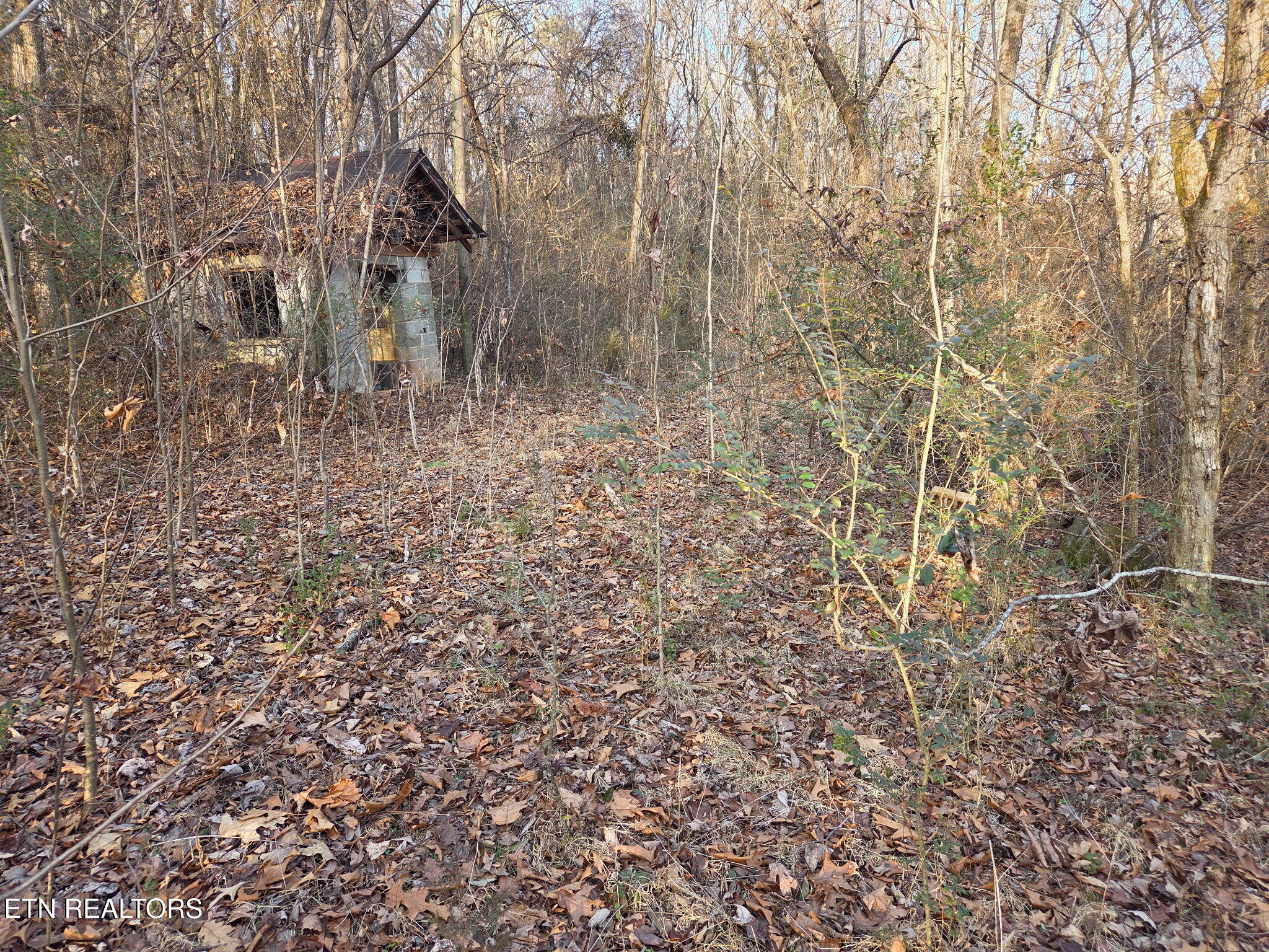 513 Jimtown Road Newport, TN 37821 - Photo 5 of 14 5415814101465788408